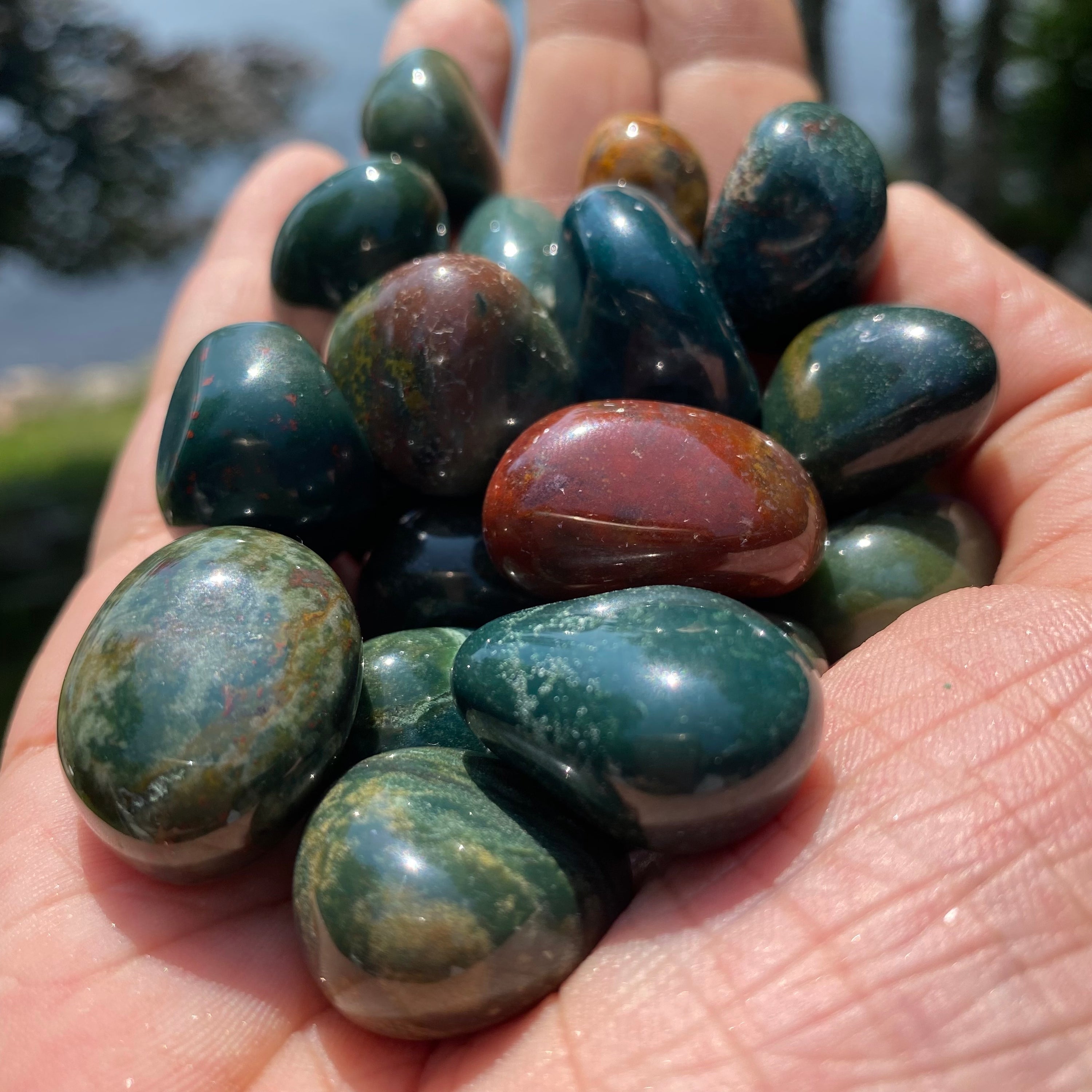 A collection of Bloodstone Tumbled Stones showcasing their unique green and red colors, perfect for healing and grounding.