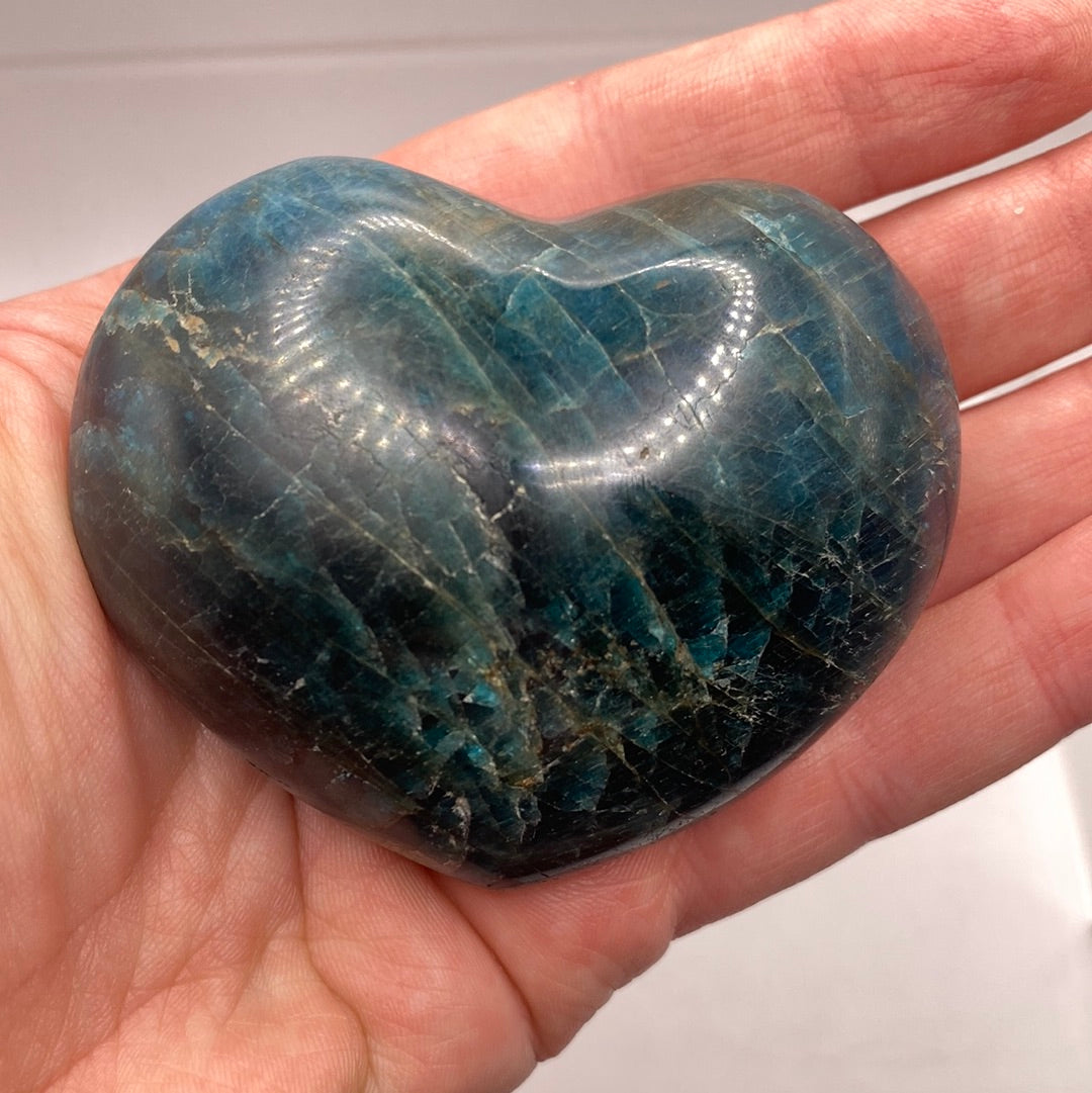 A beautiful Blue Apatite Heart (M) showcasing its deep aqua color and smooth surface, perfect for healing and meditation.