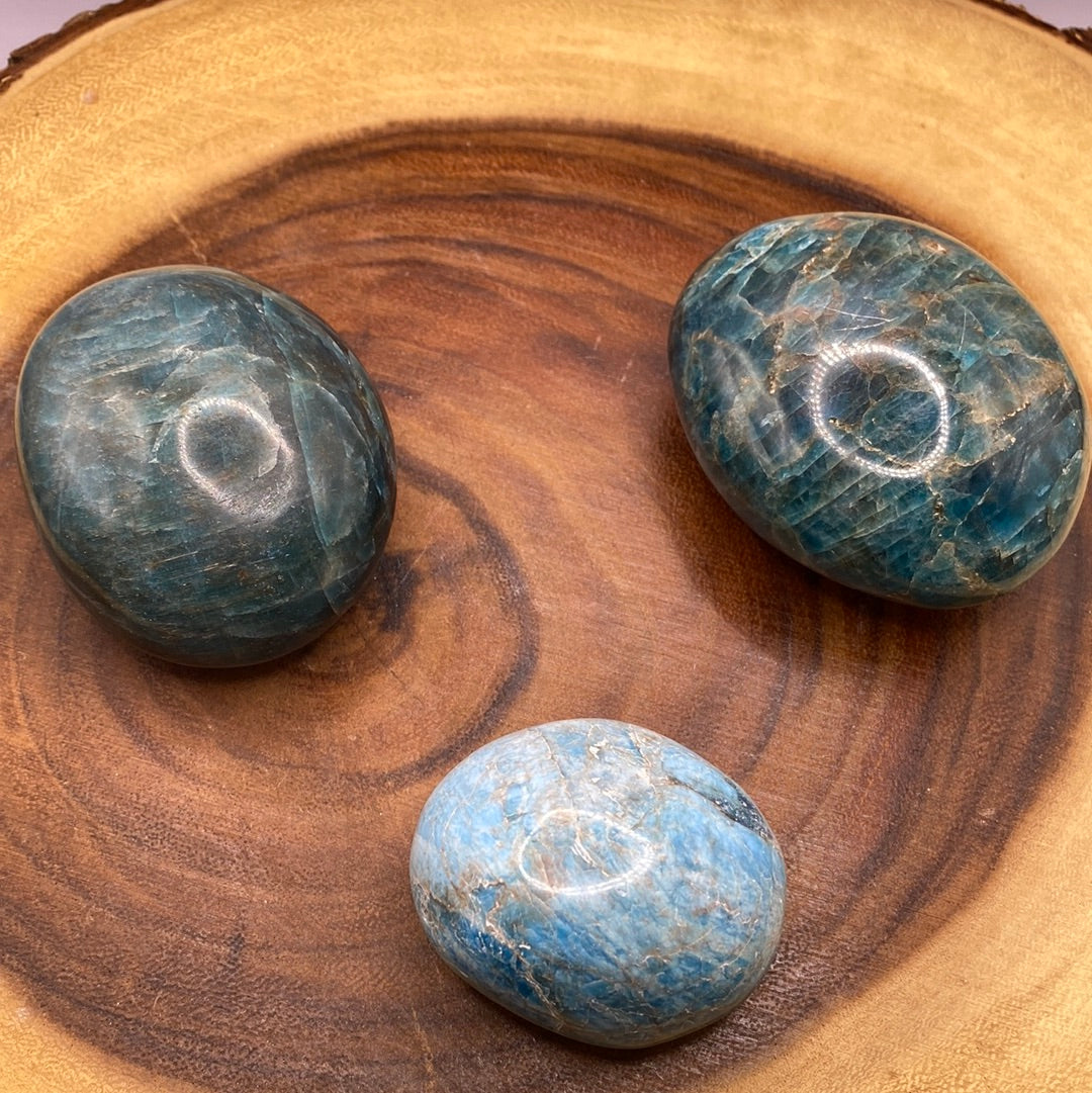 A close-up of a Blue Apatite Palm Stone showcasing its deep blue color with grey and brown speckles, perfect for chakra healing.