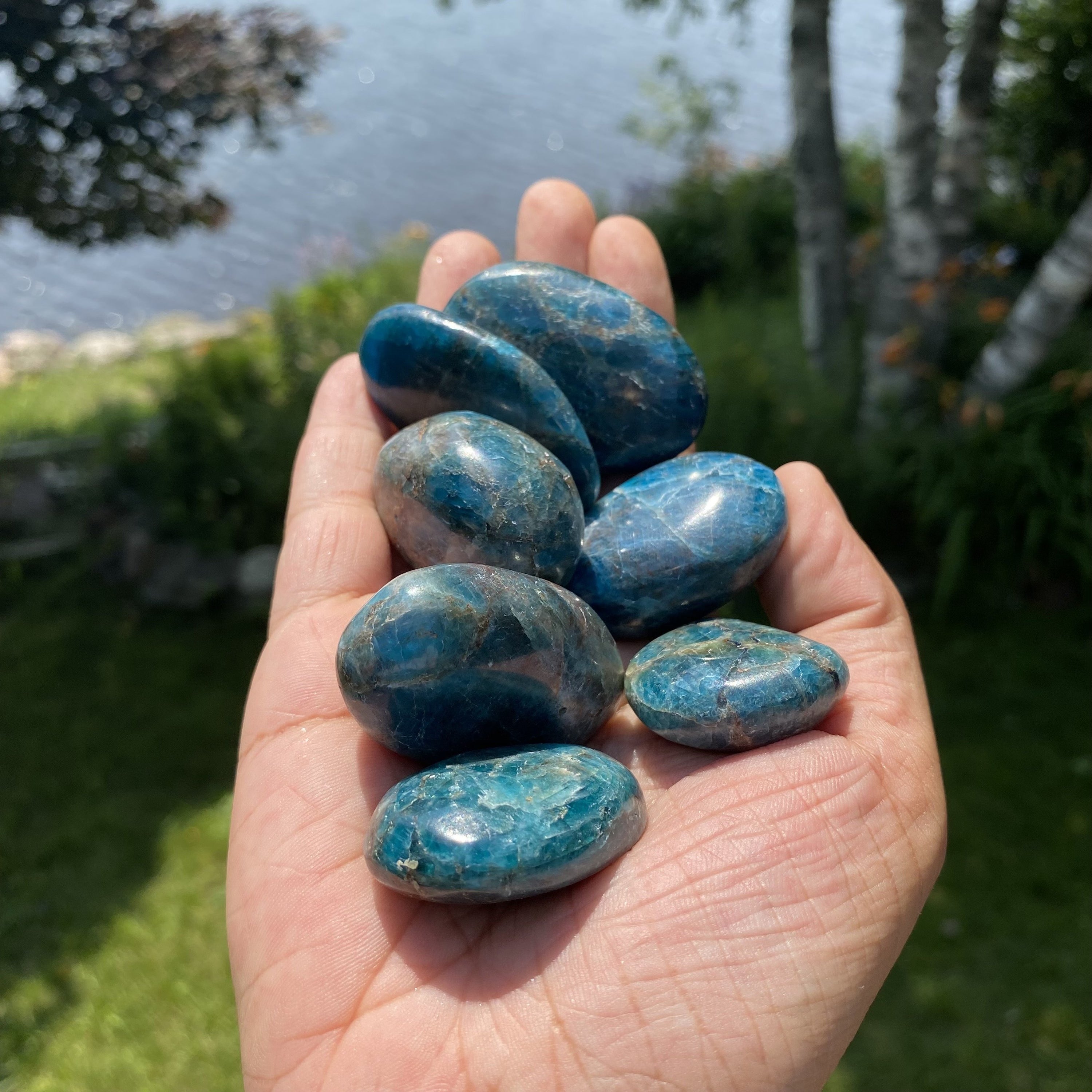 A polished Blue Apatite palm stone showcasing its deep aqua color and smooth surface, perfect for healing and meditation.