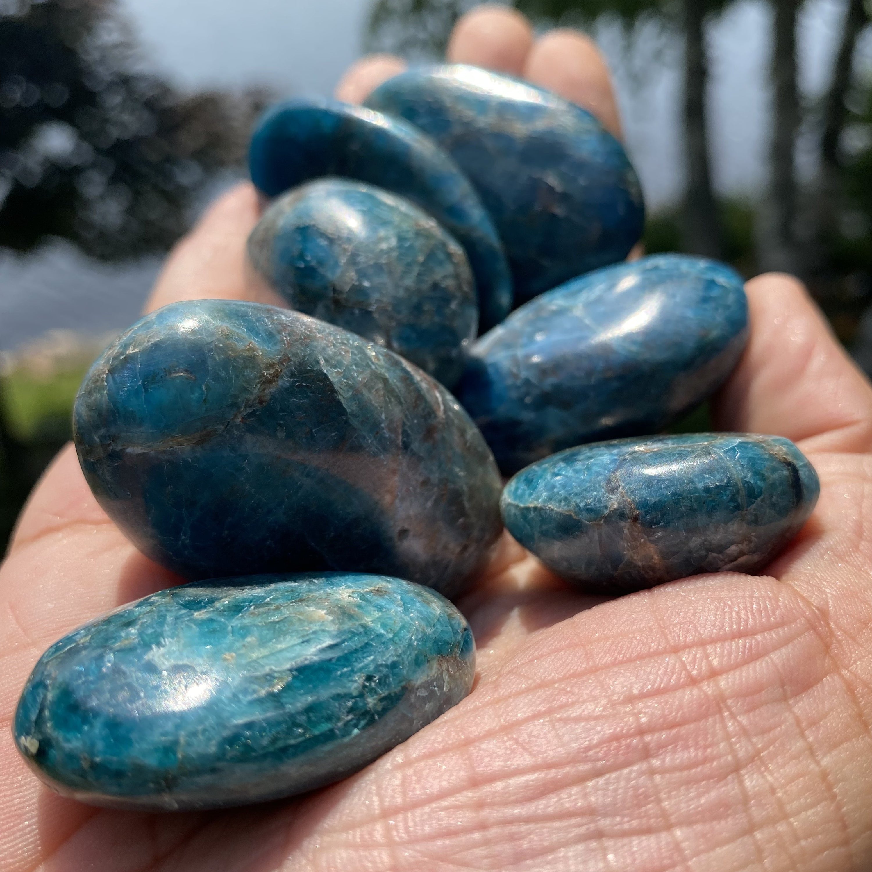 A polished Blue Apatite palm stone showcasing its deep aqua color and smooth surface, perfect for healing and meditation.