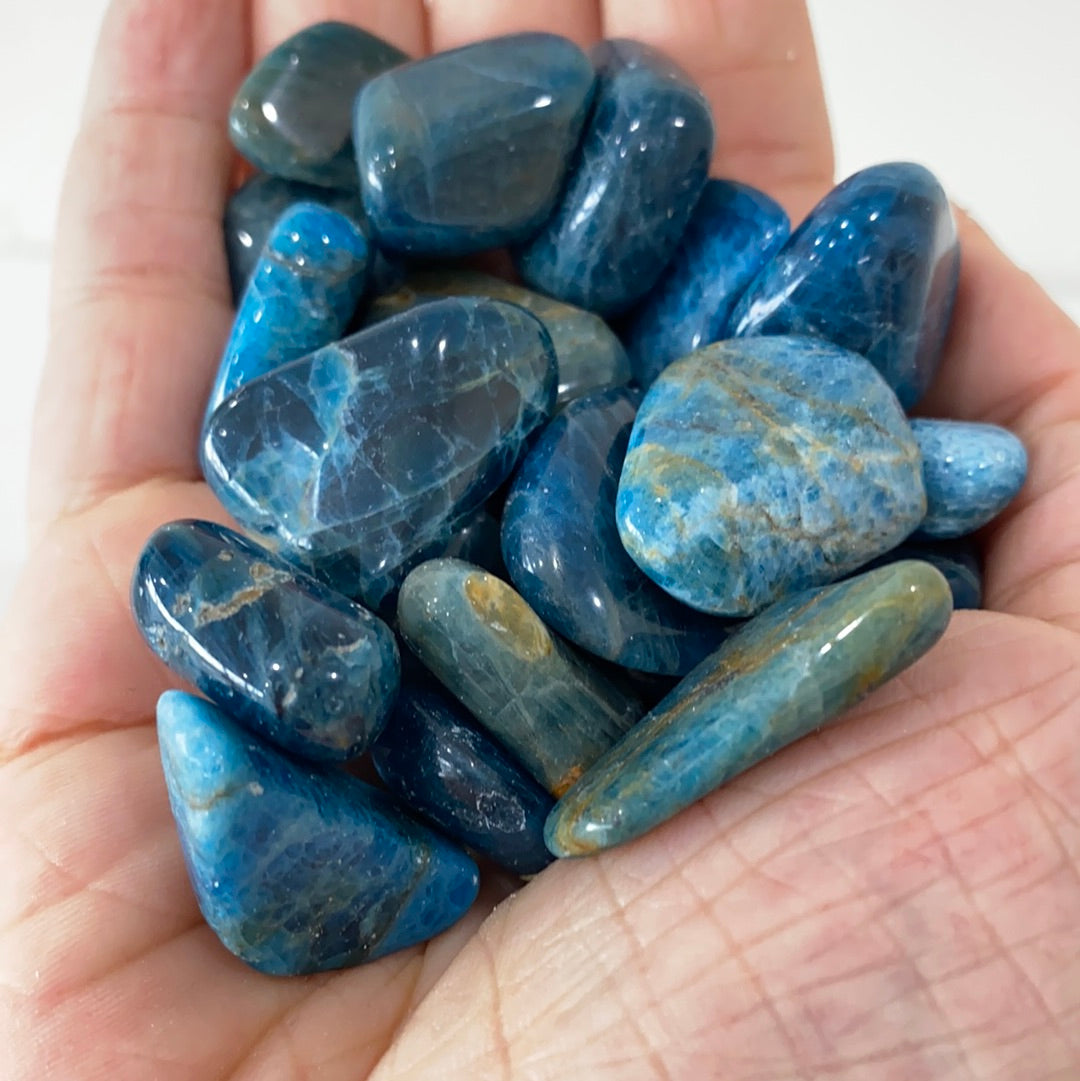 A polished Blue Apatite Tumbled Stone showcasing its deep aqua color and smooth surface, perfect for healing and meditation.