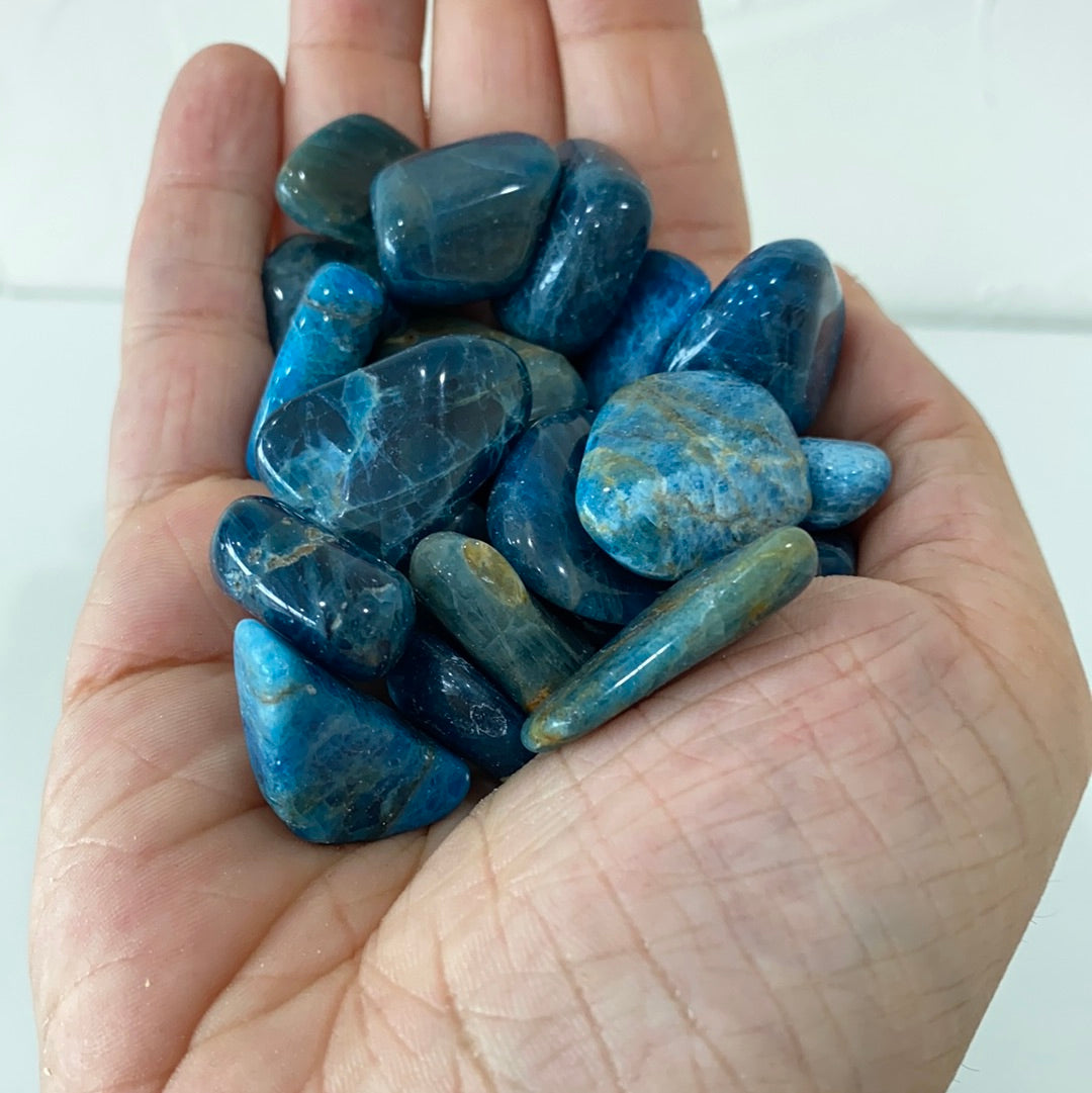 A polished Blue Apatite Tumbled Stone showcasing its deep aqua color and smooth surface, perfect for healing and meditation.