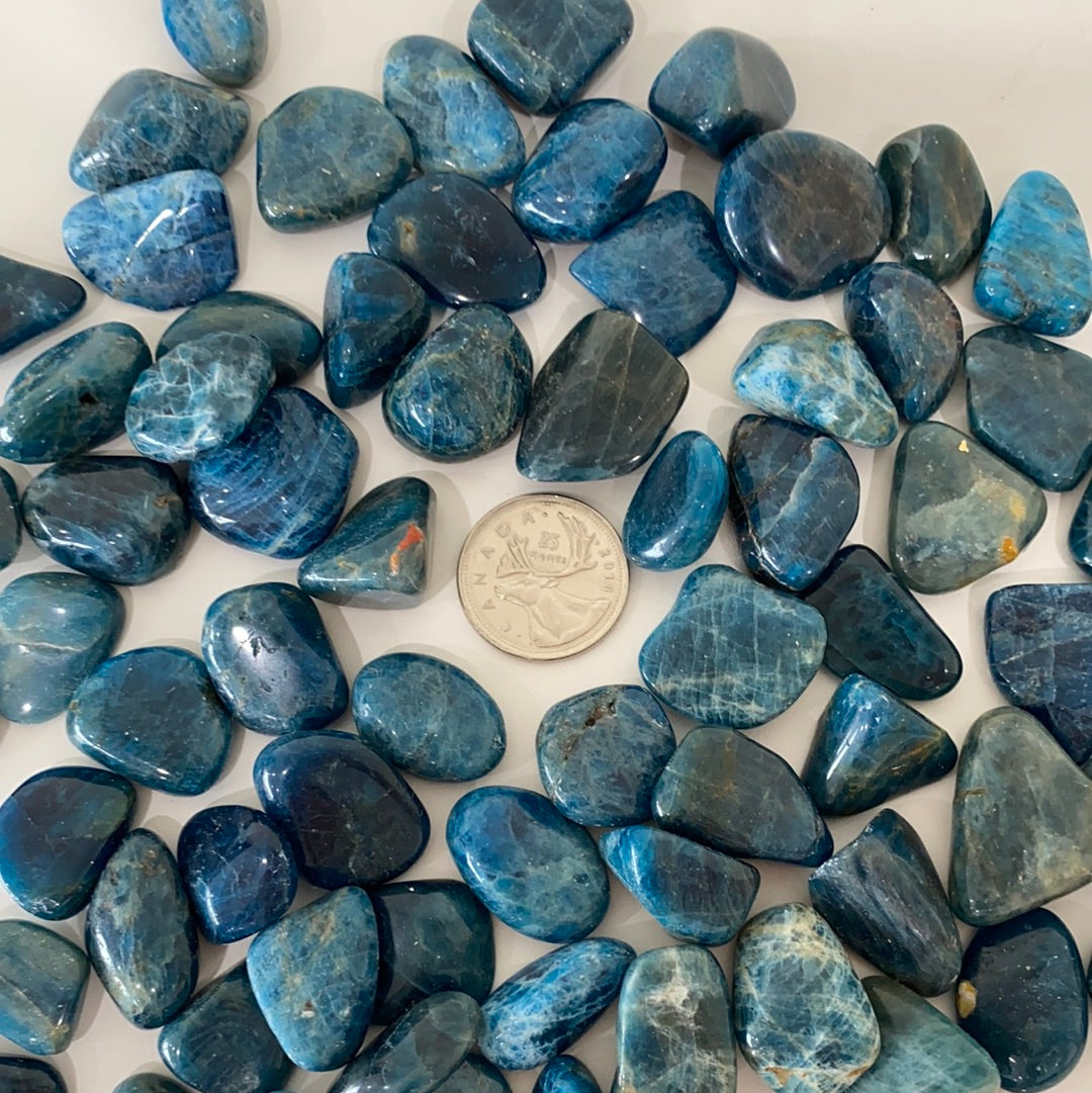 A polished Blue Apatite Tumbled Stone showcasing its deep aqua color and smooth surface, perfect for healing and meditation.