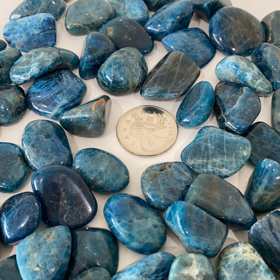 A polished Blue Apatite Tumbled Stone showcasing its deep aqua color and smooth surface, perfect for healing and meditation.