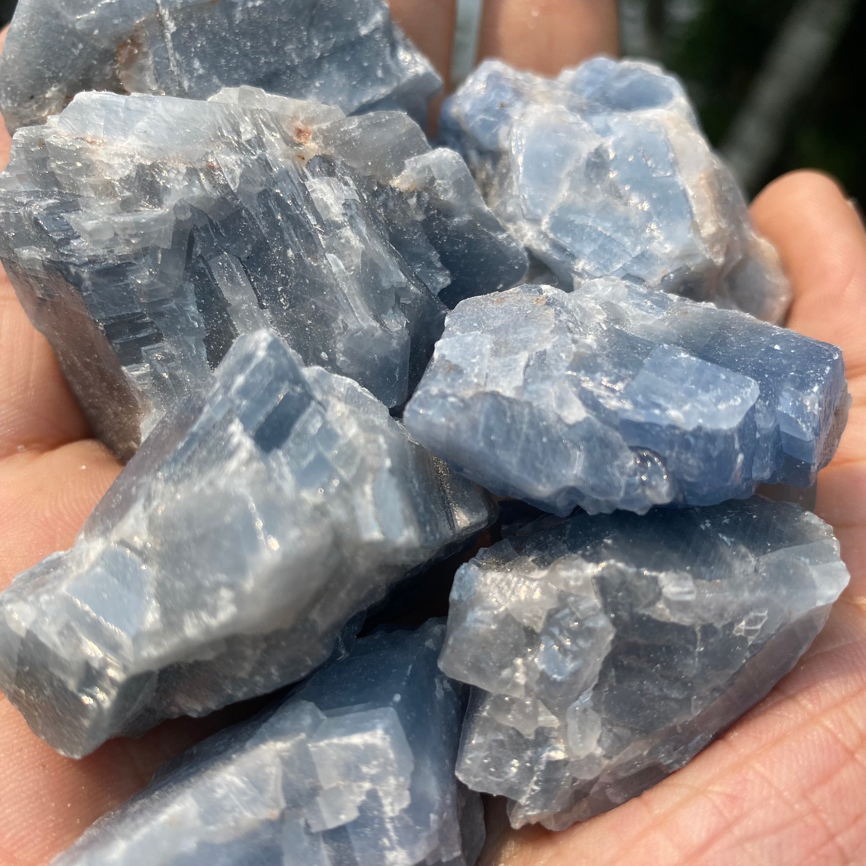 Natural rough cut blue calcite pieces showcasing various shapes and sizes, radiating calming energy.