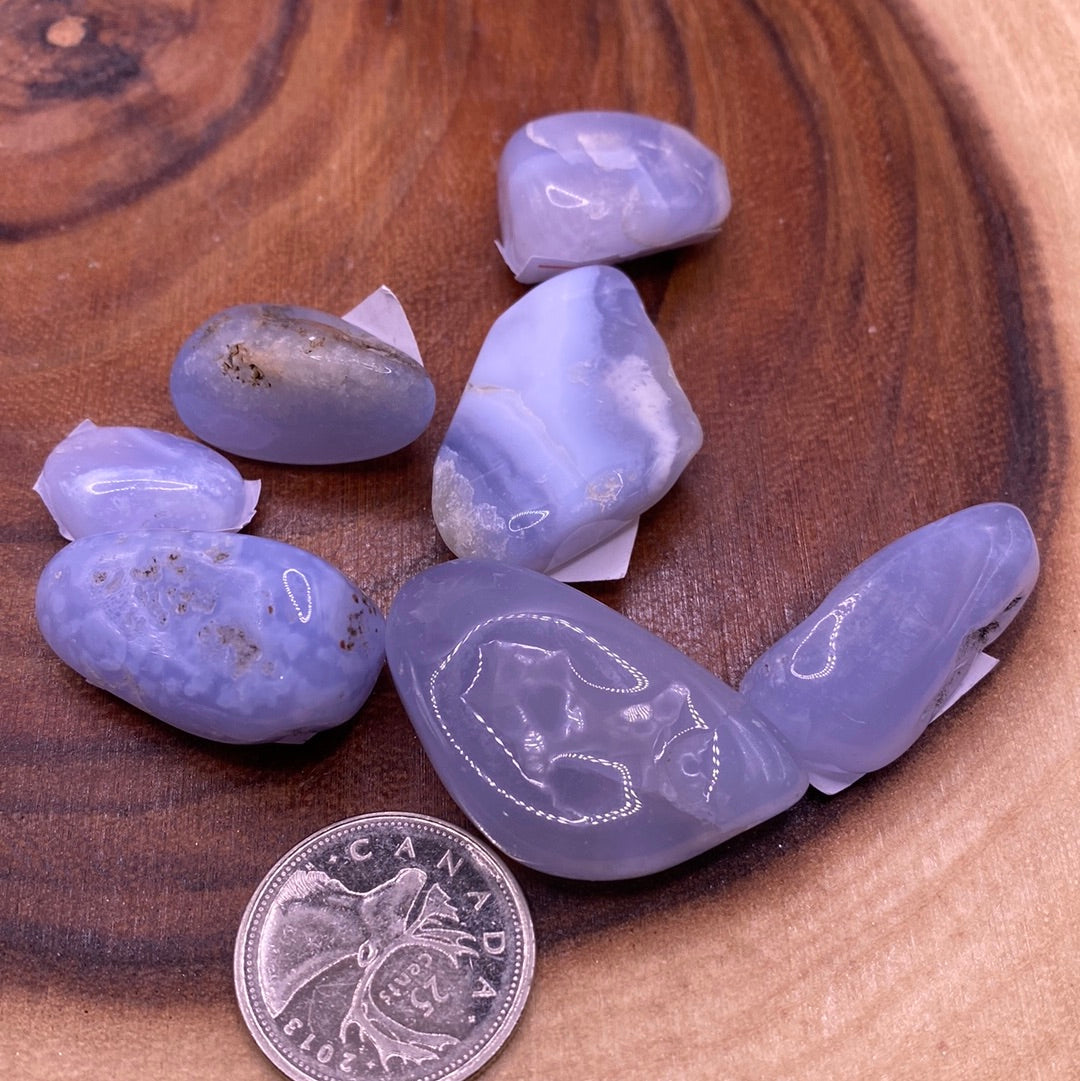 Blue Lace Agate Tumbled Stone showcasing a beautiful blue and white lace pattern, perfect for healing and spiritual growth.