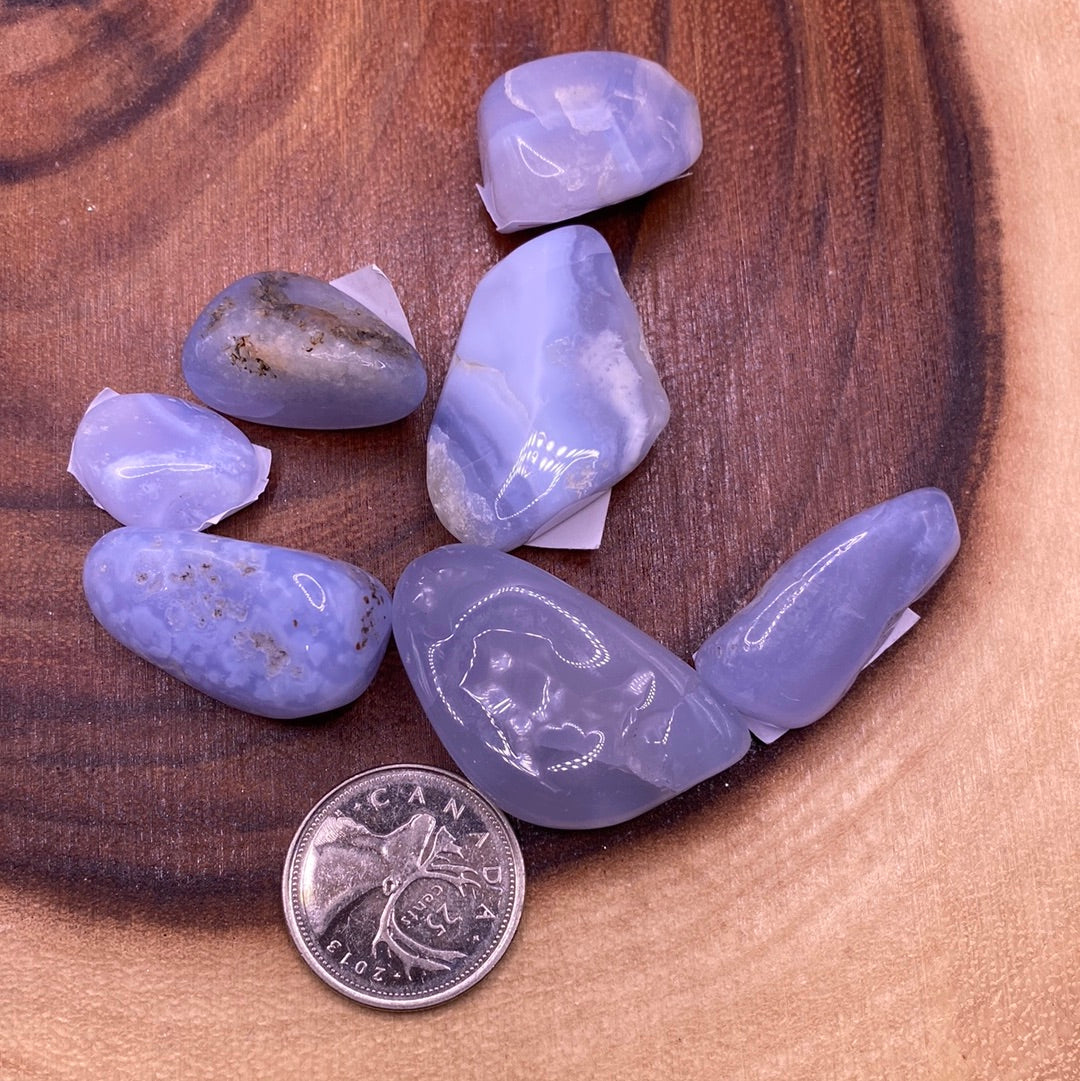 Blue Lace Agate Tumbled Stone showcasing a beautiful blue and white lace pattern, perfect for healing and spiritual growth.