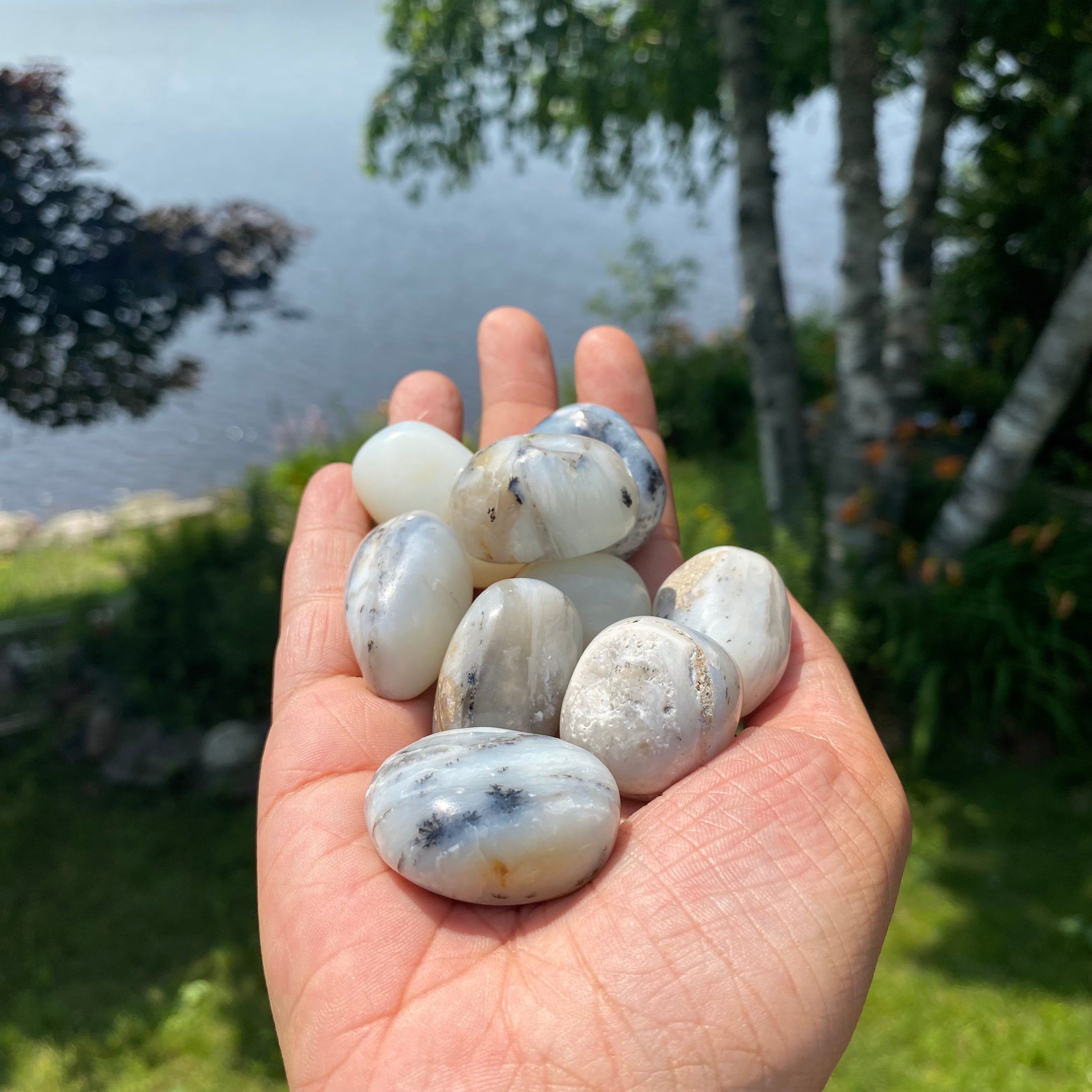 A collection of Blue Opal Tumbled Stones showcasing various shades of blue, polished to a smooth finish, reflecting light beautifully.