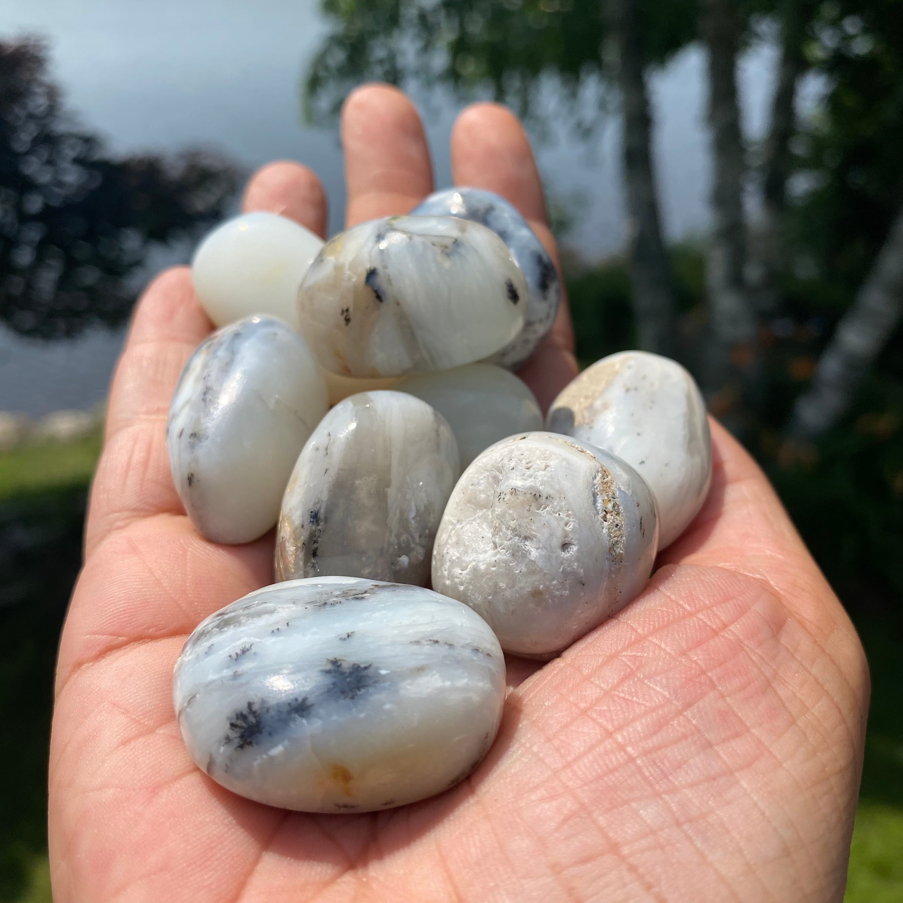 A collection of Blue Opal Tumbled Stones showcasing various shades of blue, polished to a smooth finish, reflecting light beautifully.