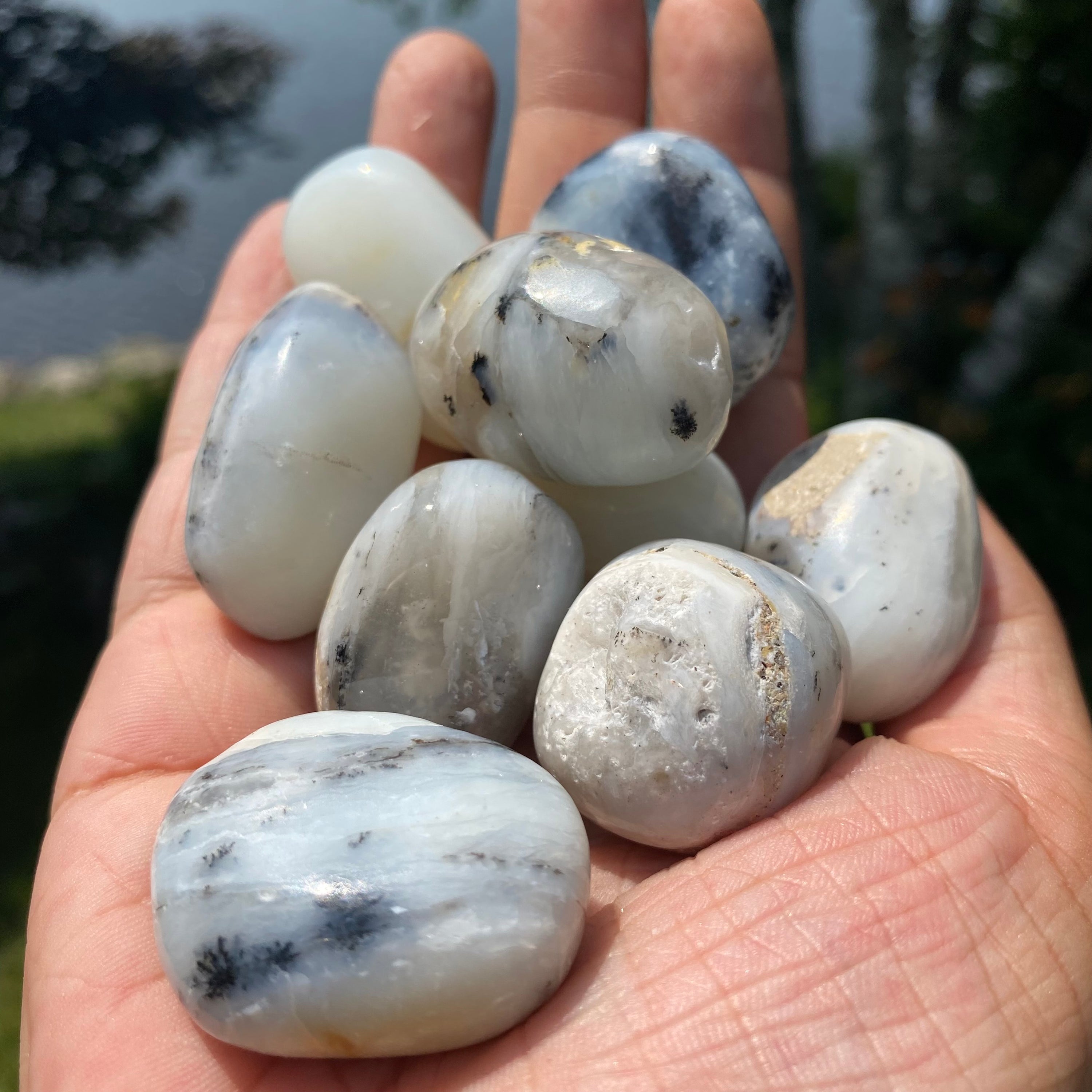 A collection of Blue Opal Tumbled Stones showcasing various shades of blue, polished to a smooth finish, reflecting light beautifully.