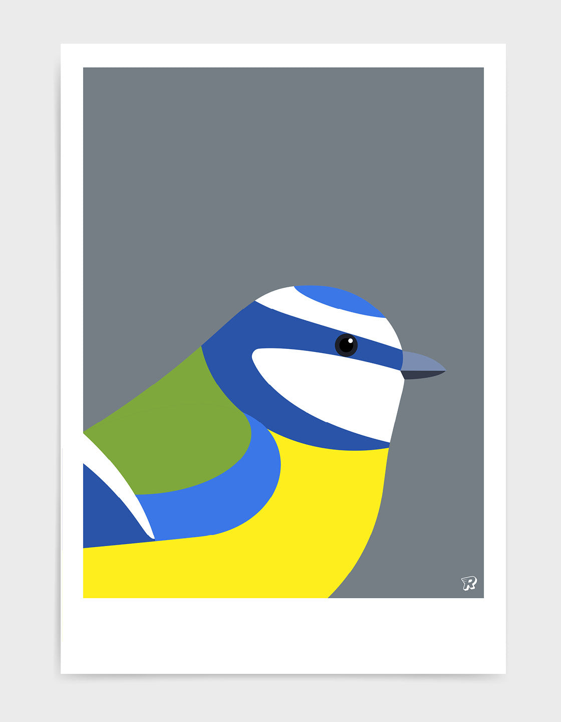 A vibrant Blue Tit bird print showcasing its colorful plumage, perfect for home decor.