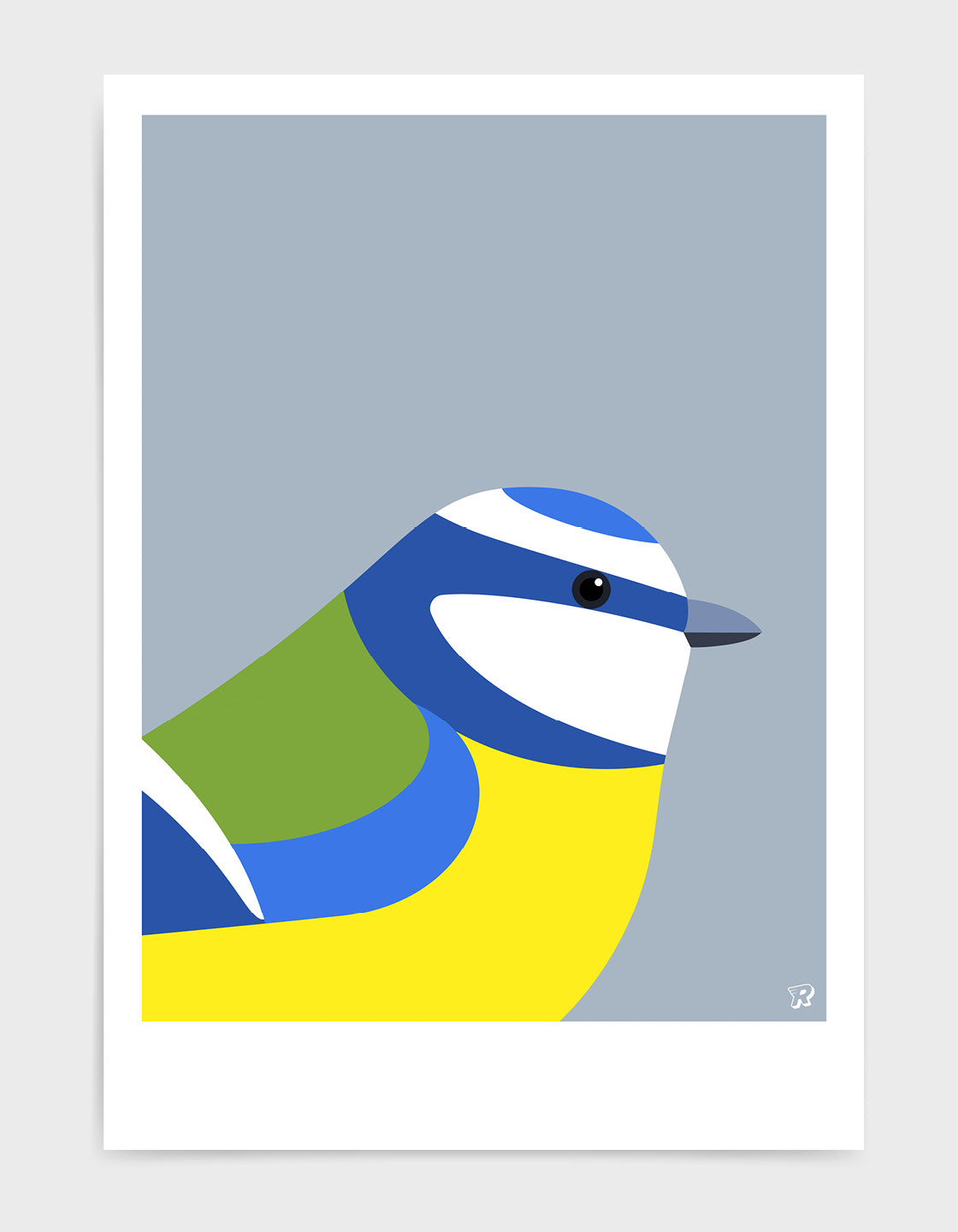 A vibrant Blue Tit bird print showcasing its colorful plumage, perfect for home decor.