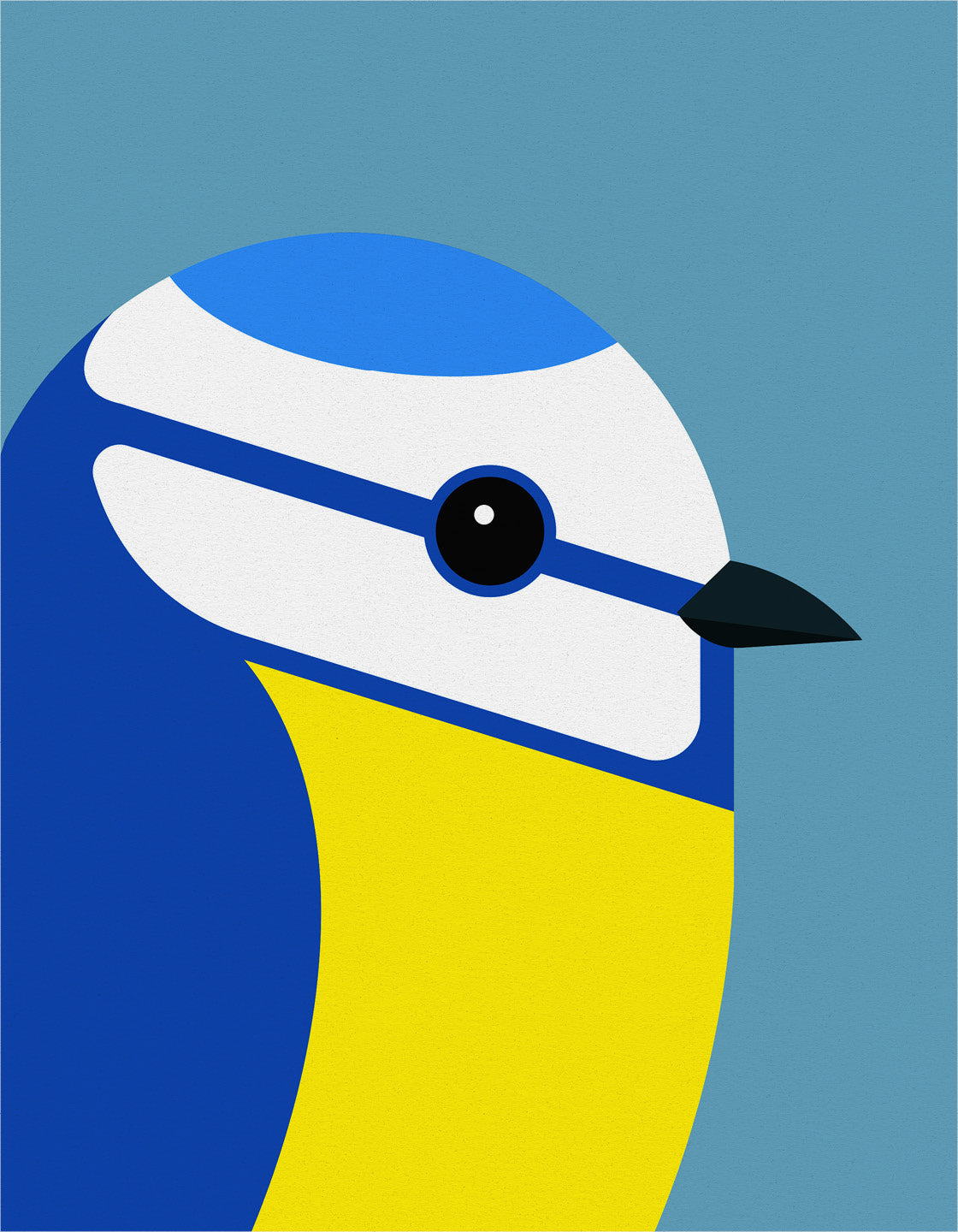 A vibrant Blue Tit bird print showcasing its colorful plumage against a modern background.