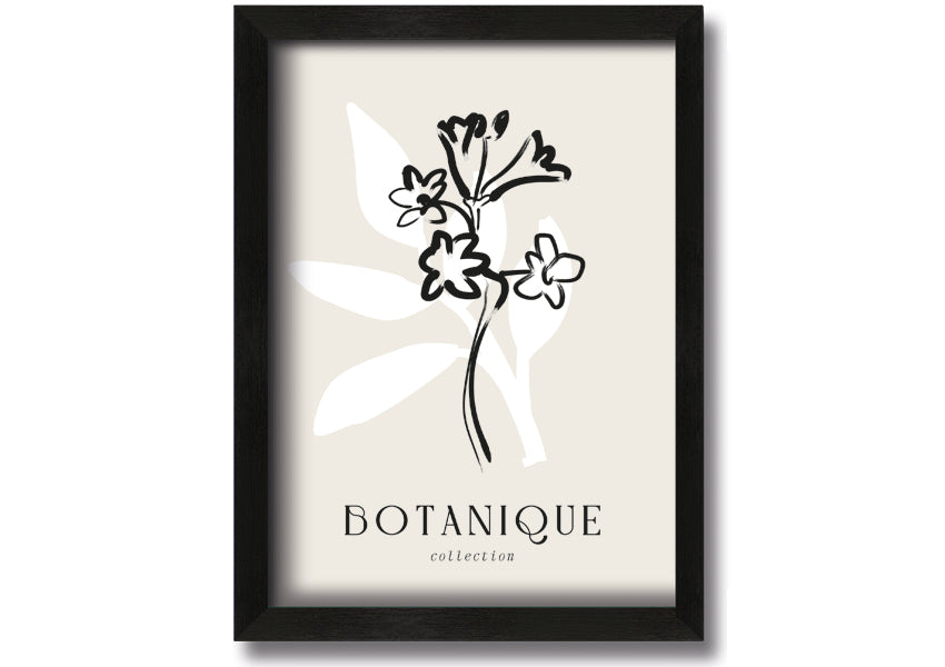 A beautifully framed Botanical Plant Lines print showcasing intricate botanical designs, available in various frame colors.