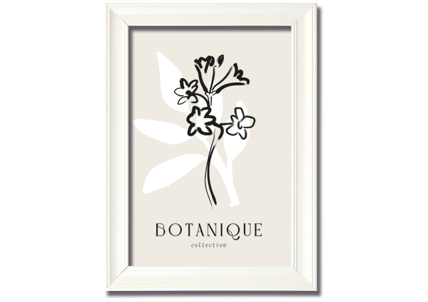 A beautifully framed Botanical Plant Lines print showcasing intricate botanical designs, available in various frame colors.