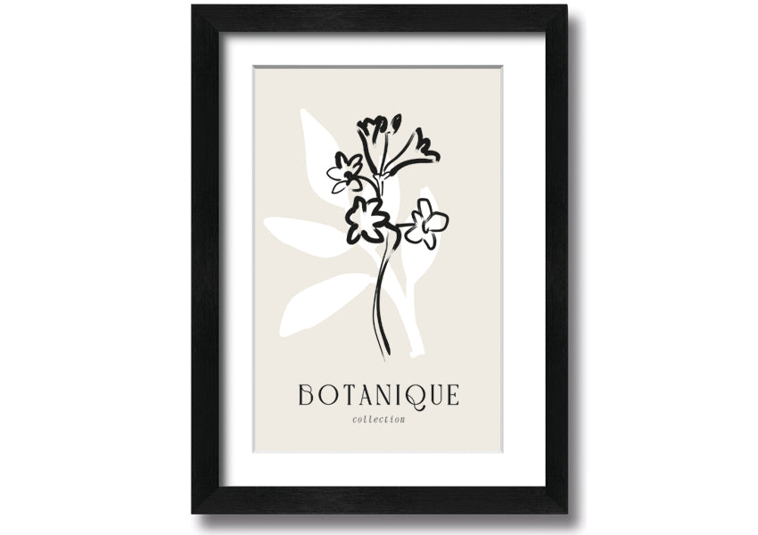 A beautifully framed Botanical Plant Lines print showcasing intricate botanical designs, available in various frame colors.