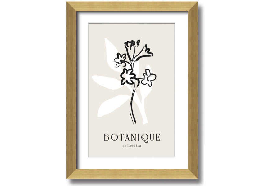 A beautifully framed Botanical Plant Lines print showcasing intricate botanical designs, available in various frame colors.