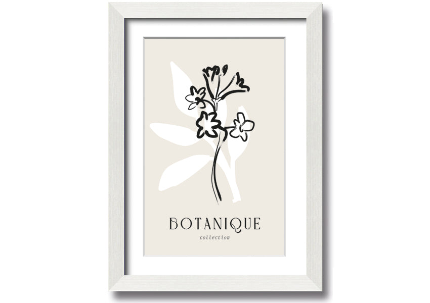 A beautifully framed Botanical Plant Lines print showcasing intricate botanical designs, available in various frame colors.