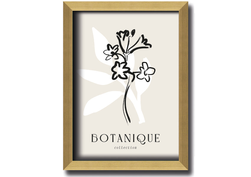 A beautifully framed Botanical Plant Lines print showcasing intricate botanical designs, available in various frame colors.