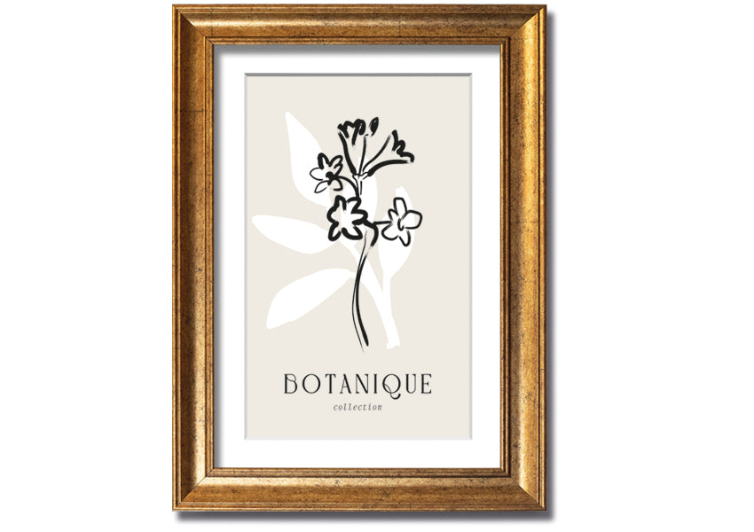 A beautifully framed Botanical Plant Lines print showcasing intricate botanical designs, available in various frame colors.