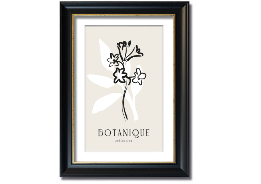 A beautifully framed Botanical Plant Lines print showcasing intricate botanical designs, available in various frame colors.