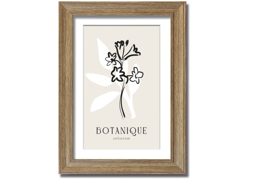 A beautifully framed Botanical Plant Lines print showcasing intricate botanical designs, available in various frame colors.