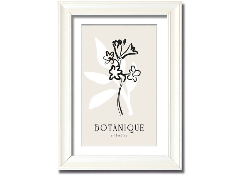 A beautifully framed Botanical Plant Lines print showcasing intricate botanical designs, available in various frame colors.