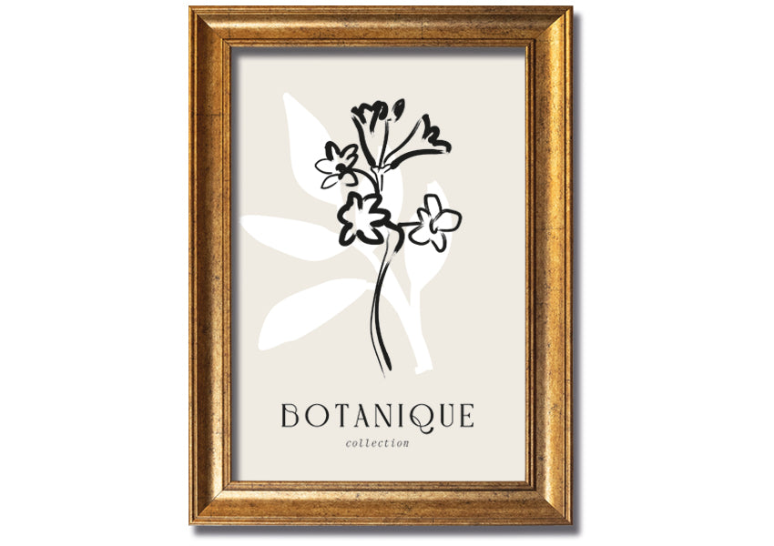 A beautifully framed Botanical Plant Lines print showcasing intricate botanical designs, available in various frame colors.