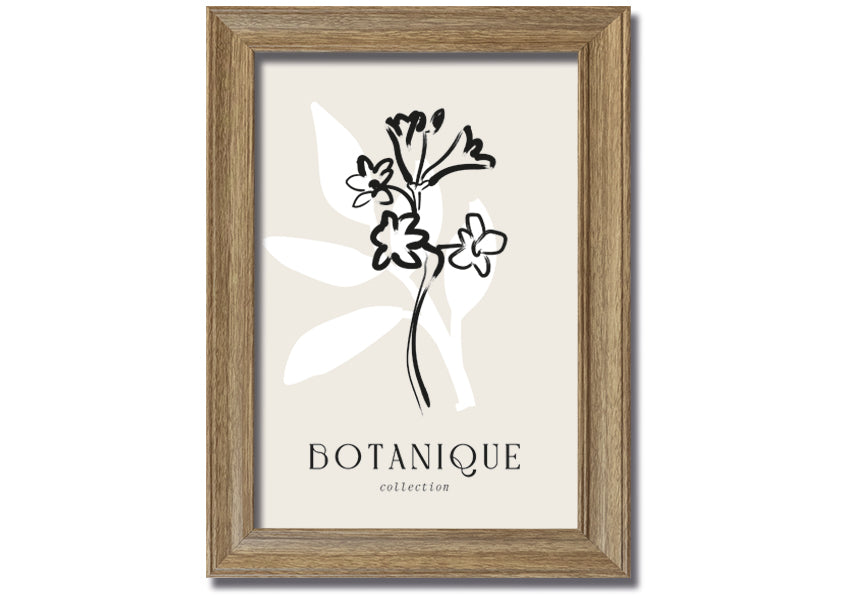 A beautifully framed Botanical Plant Lines print showcasing intricate botanical designs, available in various frame colors.