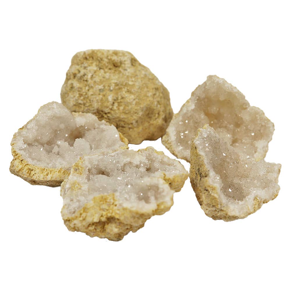 A collection of Break Open Geodes showcasing their rough exterior and sparkling crystal interiors, highlighting their unique shapes and sizes.