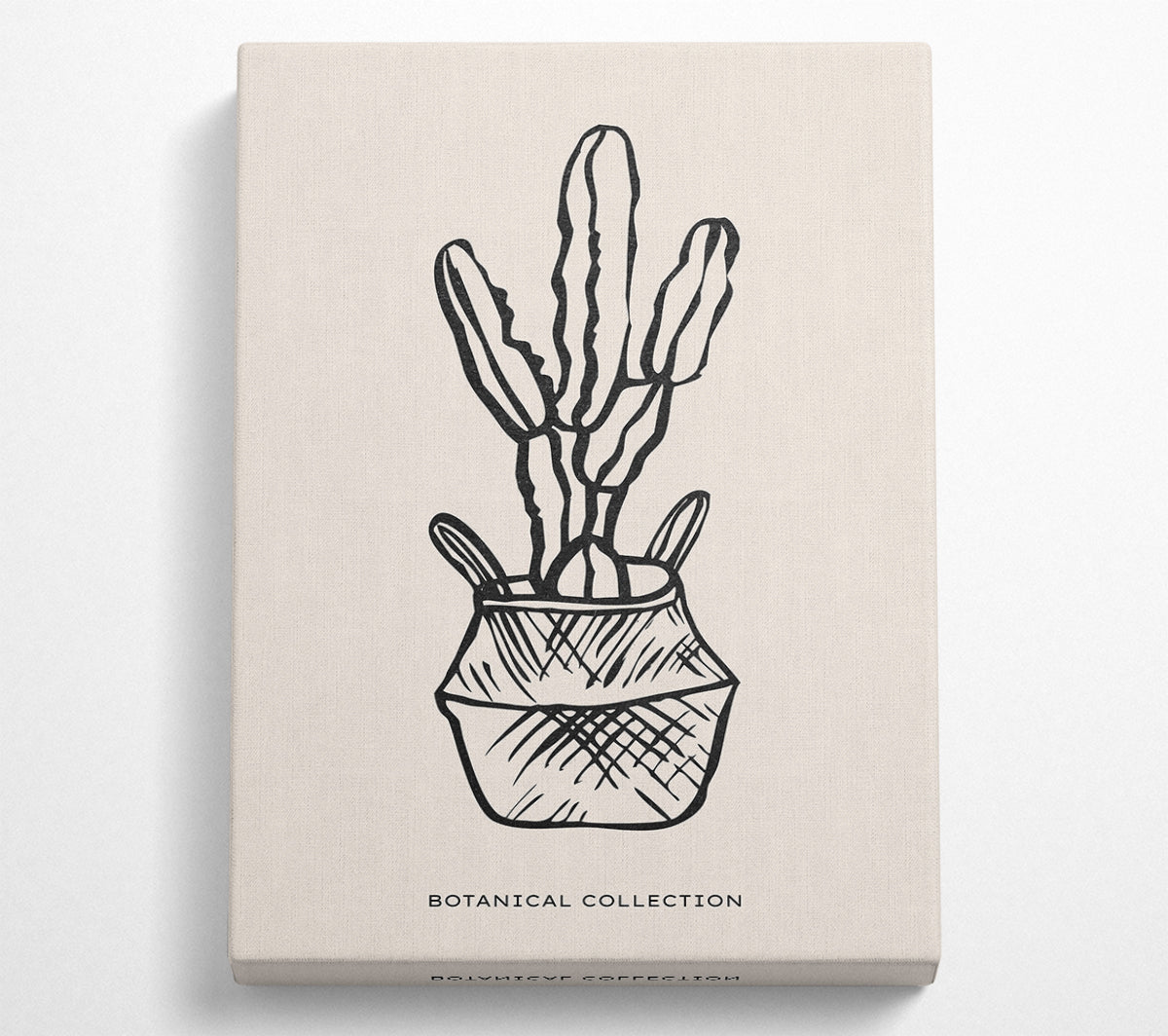 A vibrant cactus in a pot artwork printed on coated polyester canvas, mounted on a sturdy 44mm box frame, ready to hang.