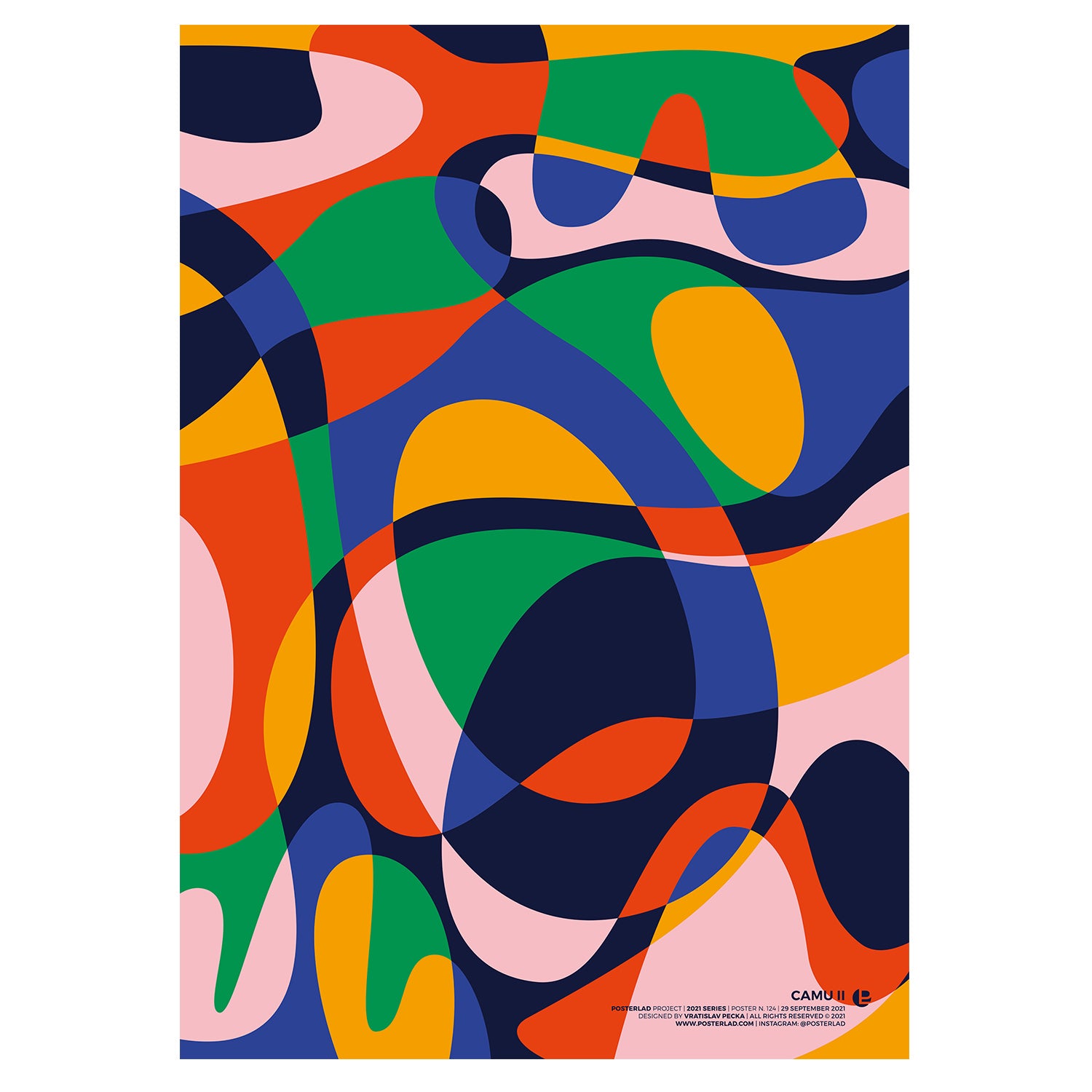 Camu II poster featuring vibrant colors and artistic design, perfect for home or office decor.