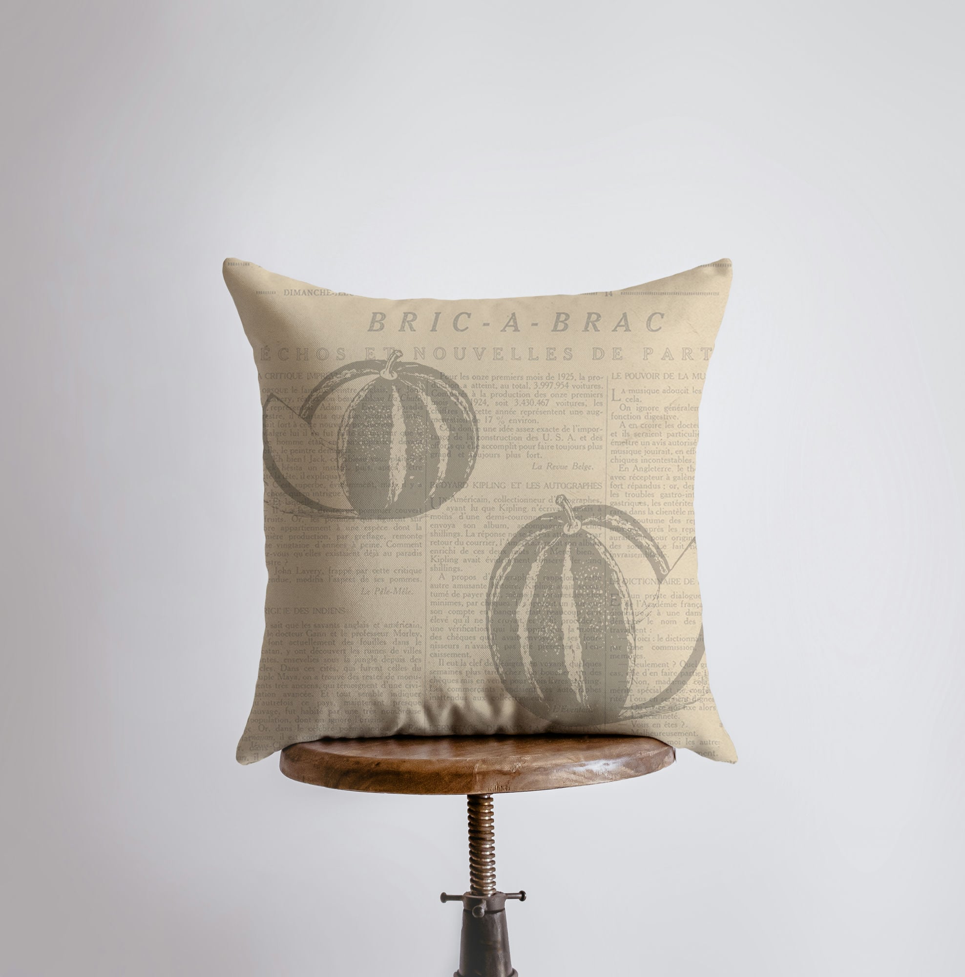 Cantaloupe pillow cover featuring a vintage seed packet design, handmade in America, with a concealed zipper and beige back.