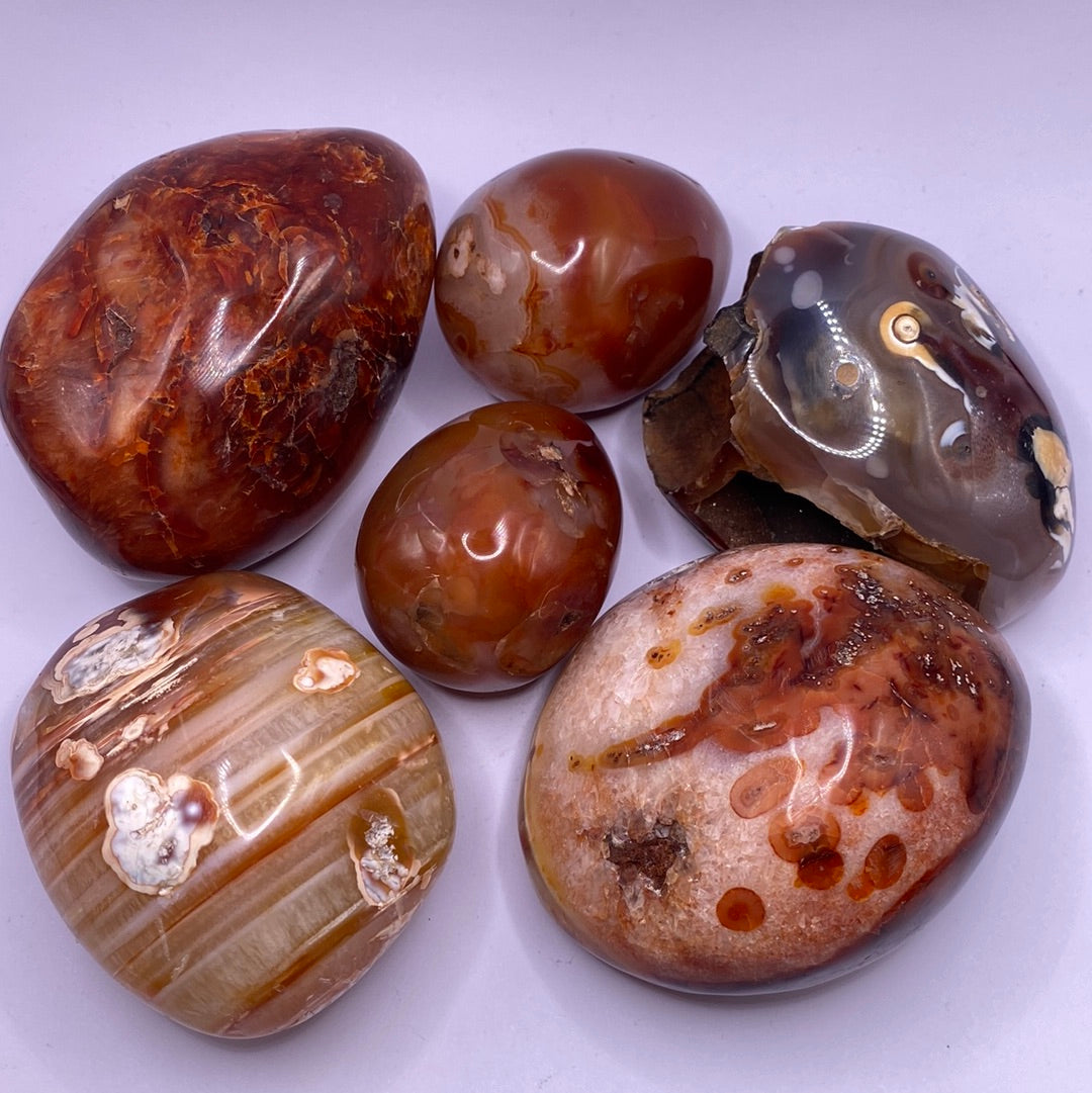 A polished Carnelian Free Form showcasing vibrant red and orange hues, perfect for decor and energy enhancement.