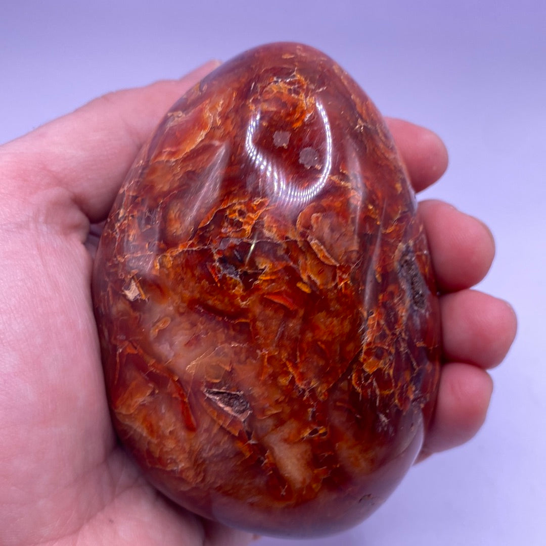 A polished Carnelian Free Form showcasing vibrant red and orange hues, perfect for decor and energy enhancement.