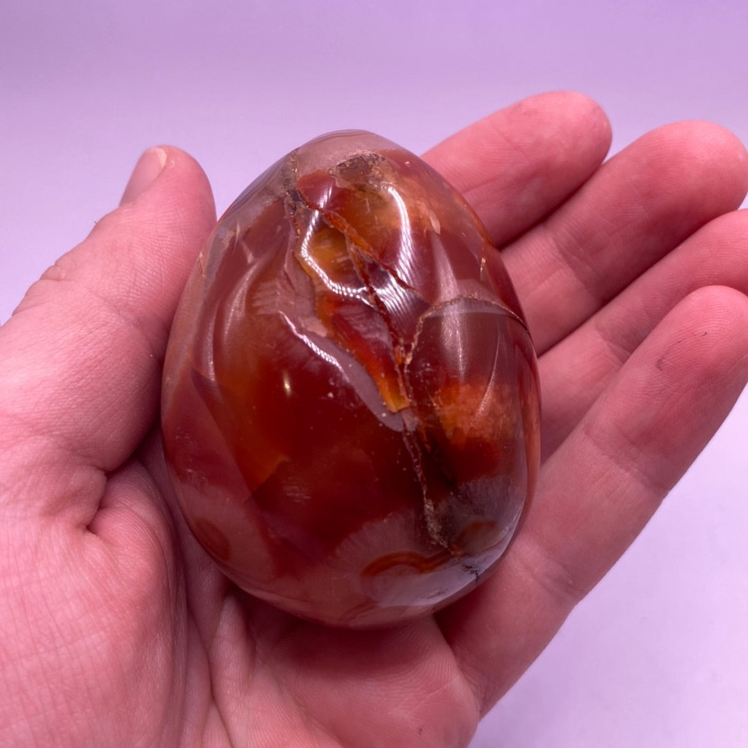 A polished Carnelian Free Form showcasing vibrant red and orange hues, perfect for decor and energy enhancement.