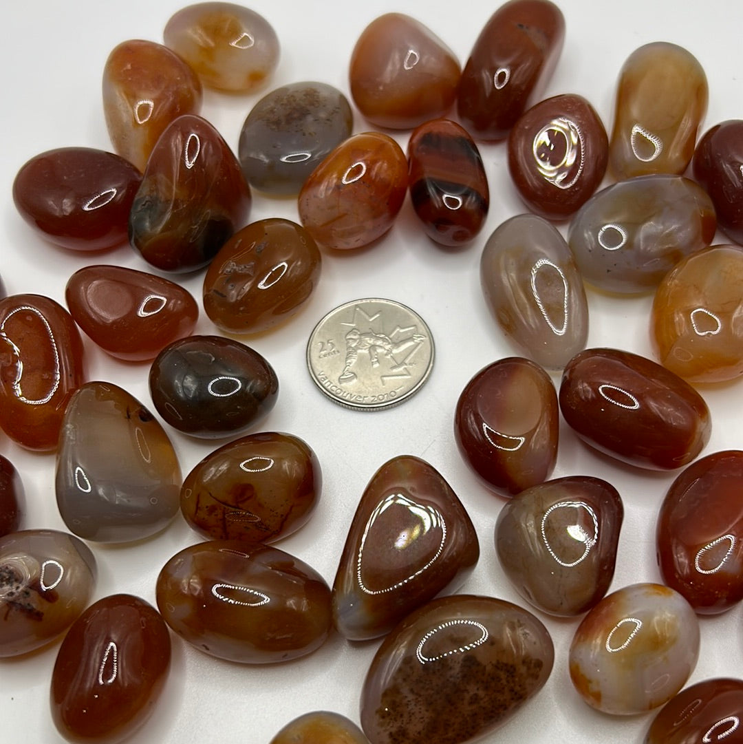 High-quality tumbled Carnelian stone showcasing vibrant red and orange colors, symbolizing motivation and self-esteem.