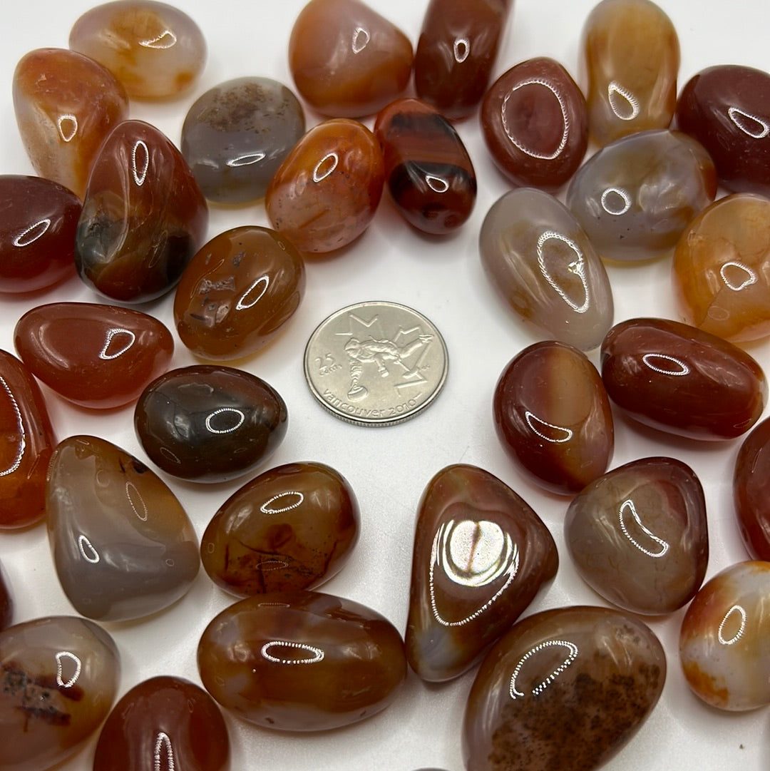 High-quality tumbled Carnelian stone showcasing vibrant red and orange colors, symbolizing motivation and self-esteem.