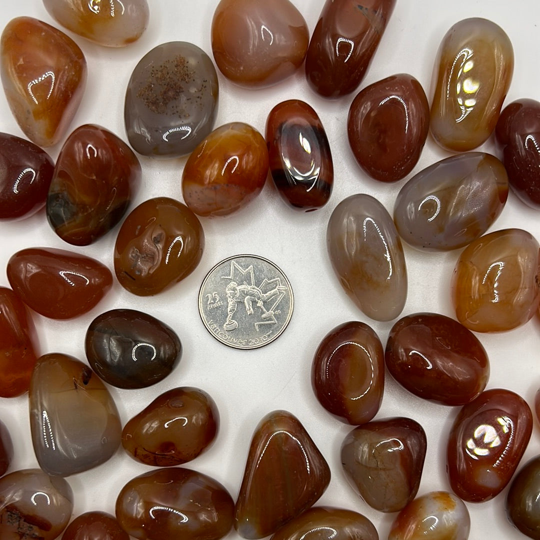 High-quality tumbled Carnelian stone showcasing vibrant red and orange colors, symbolizing motivation and self-esteem.