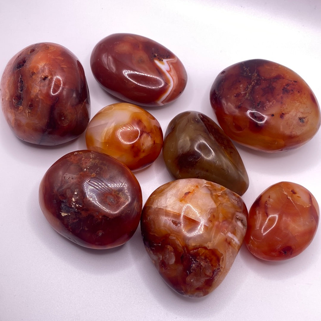 A collection of polished Carnelian nuggets showcasing their vibrant red and orange hues, each with unique shapes and sizes, perfect for decor or healing.