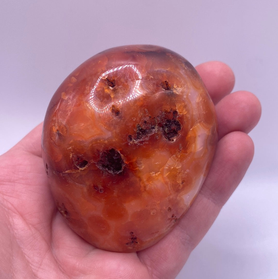 A collection of polished Carnelian nuggets showcasing their vibrant red and orange hues, each with unique shapes and sizes, perfect for decor or healing.