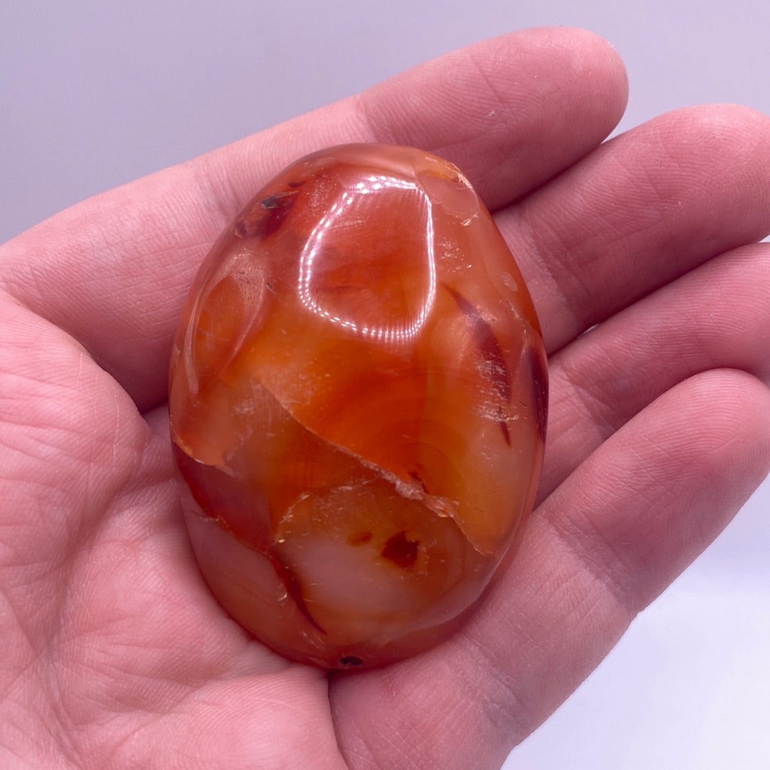 A collection of polished Carnelian nuggets showcasing their vibrant red and orange hues, each with unique shapes and sizes, perfect for decor or healing.