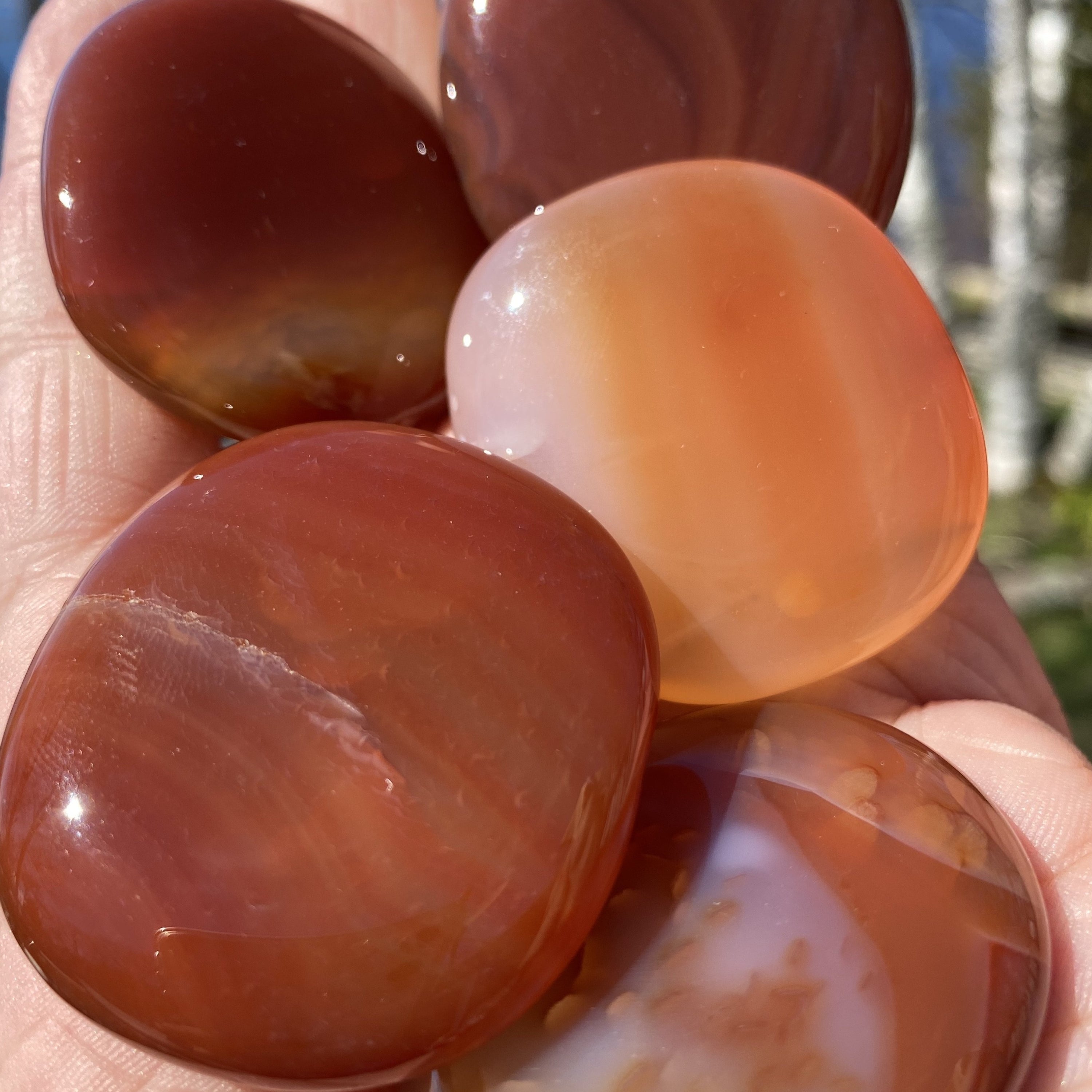 A collection of polished Carnelian palm stones showcasing their vibrant red and orange hues, perfect for meditation and creativity.