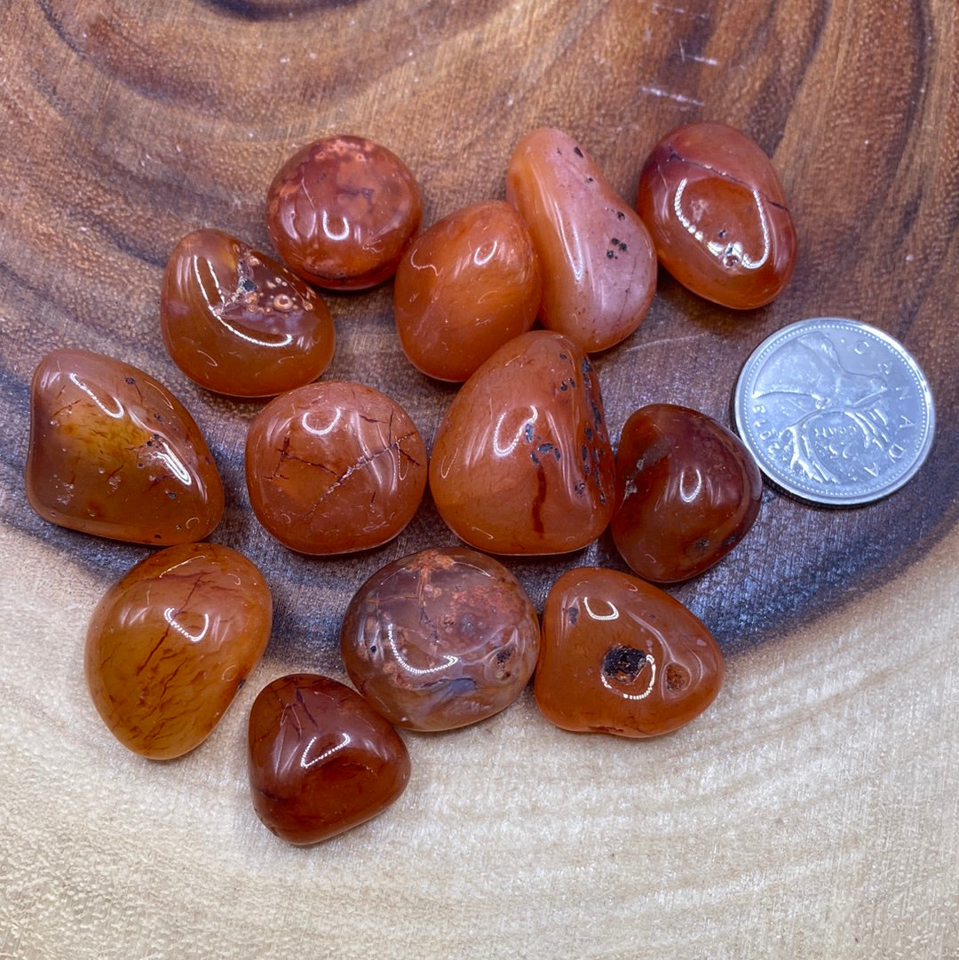 A close-up of a Carnelian Tumbled (M) crystal showcasing its reddish-orange color and unique banded patterns.