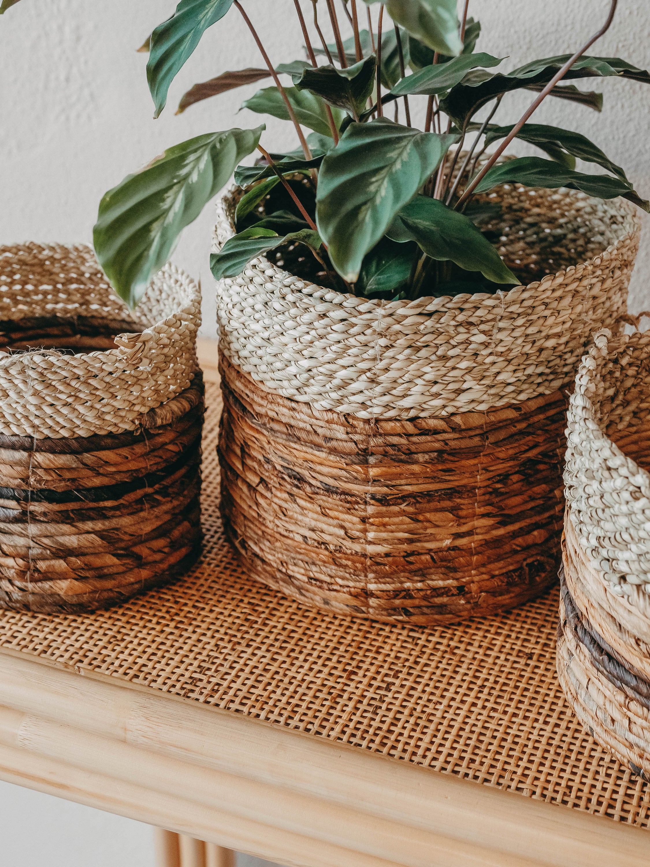 Large Asmara Basket Natural with intricate artisan patterns, perfect for plant pot cover or storage.