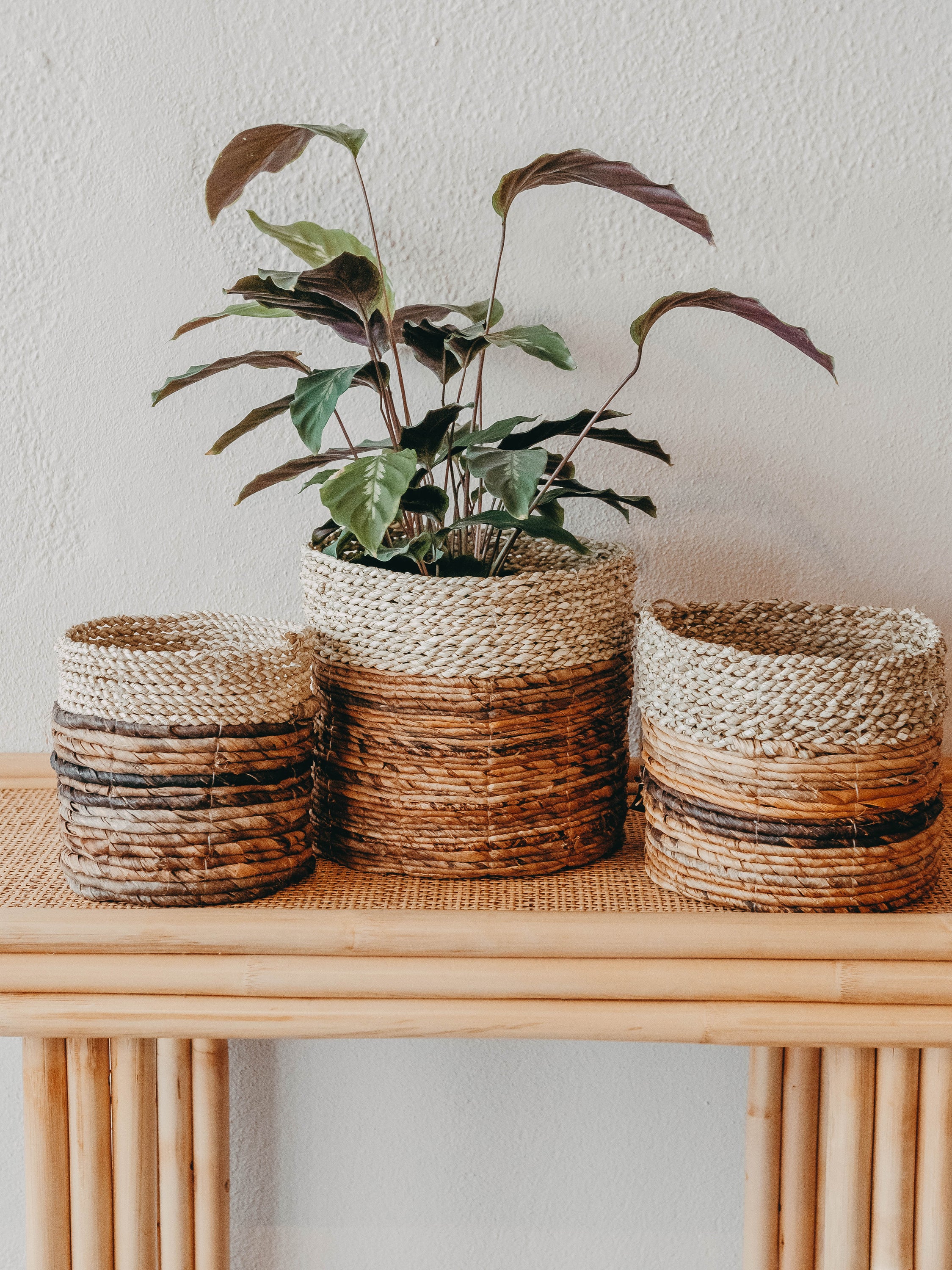 Large Asmara Basket Natural with intricate artisan patterns, perfect for plant pot cover or storage.