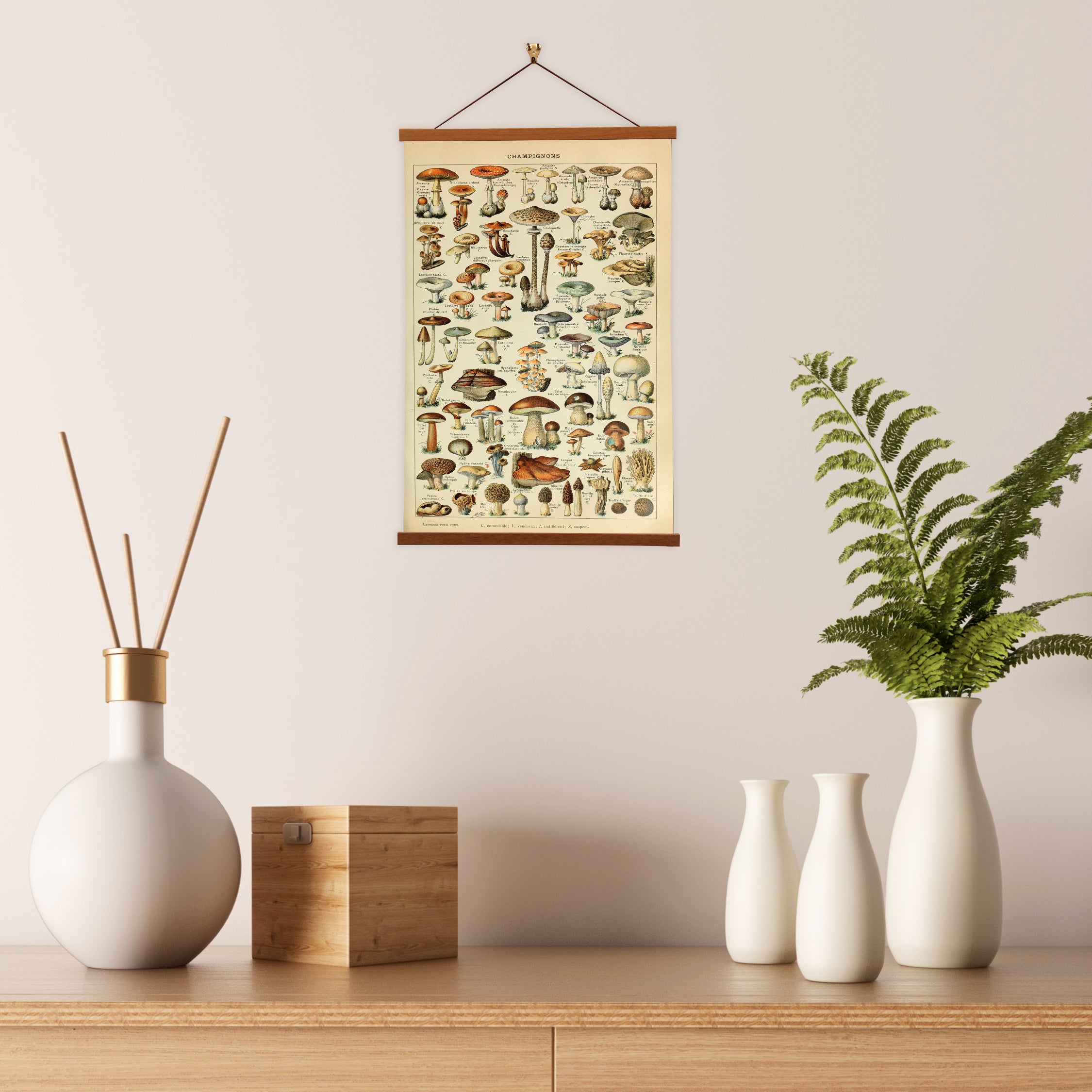 Champignons No. 1 by Adolphe Millot, a vibrant botanical illustration of mushrooms on premium canvas with a wooden magnetic hanger.