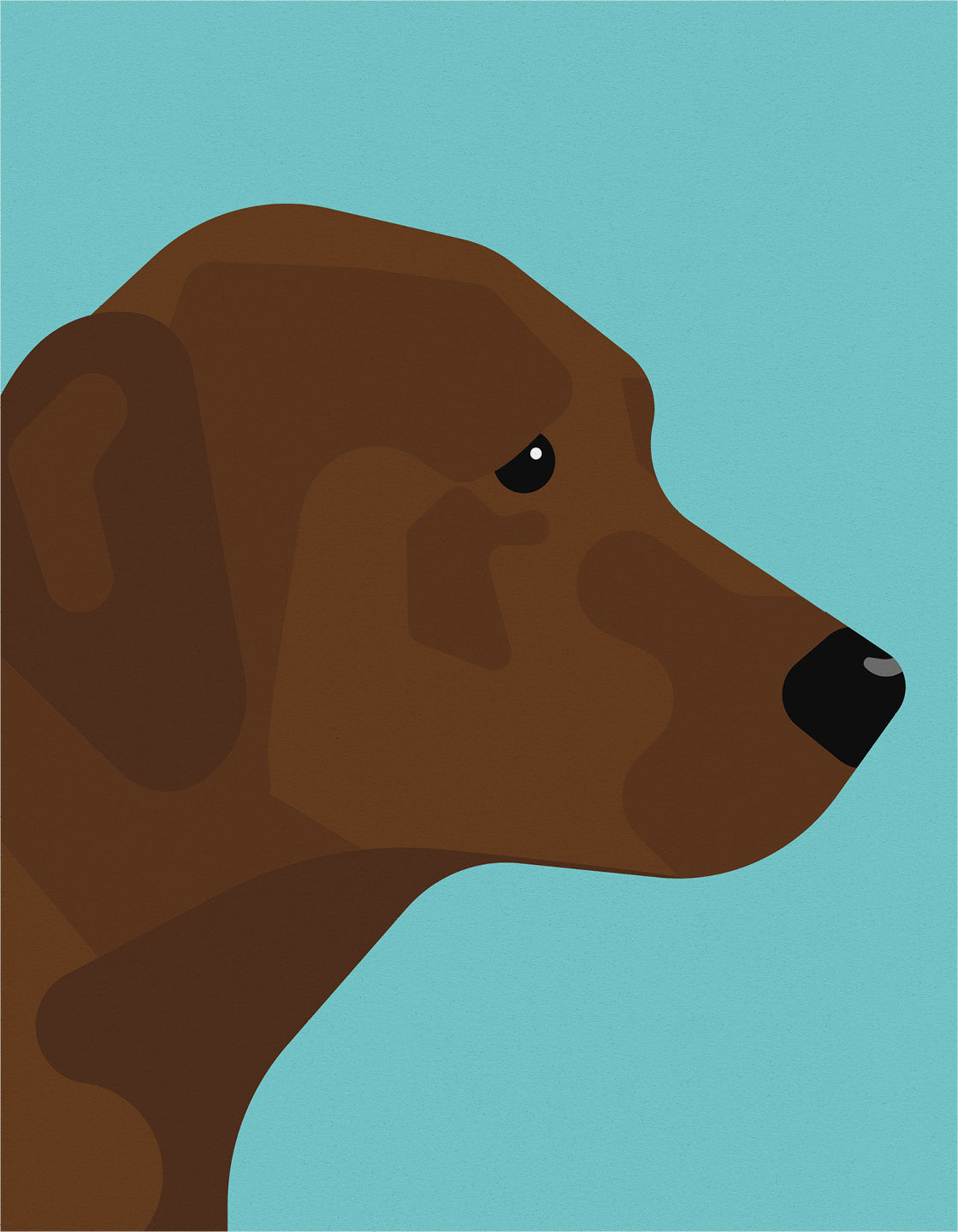 A charming Chocolate Labrador named Linda, showcasing her rich brown coat and playful expression, perfect for wall decor.