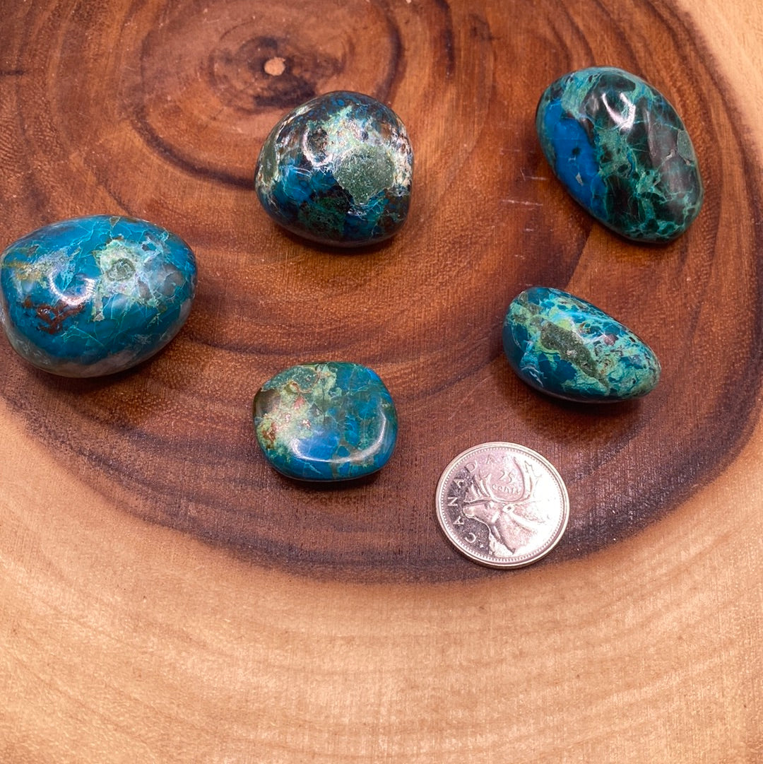 Chrysocolla Tumbled (M) crystal showcasing its vibrant blue-green color and smooth surface, perfect for meditation and emotional balance.